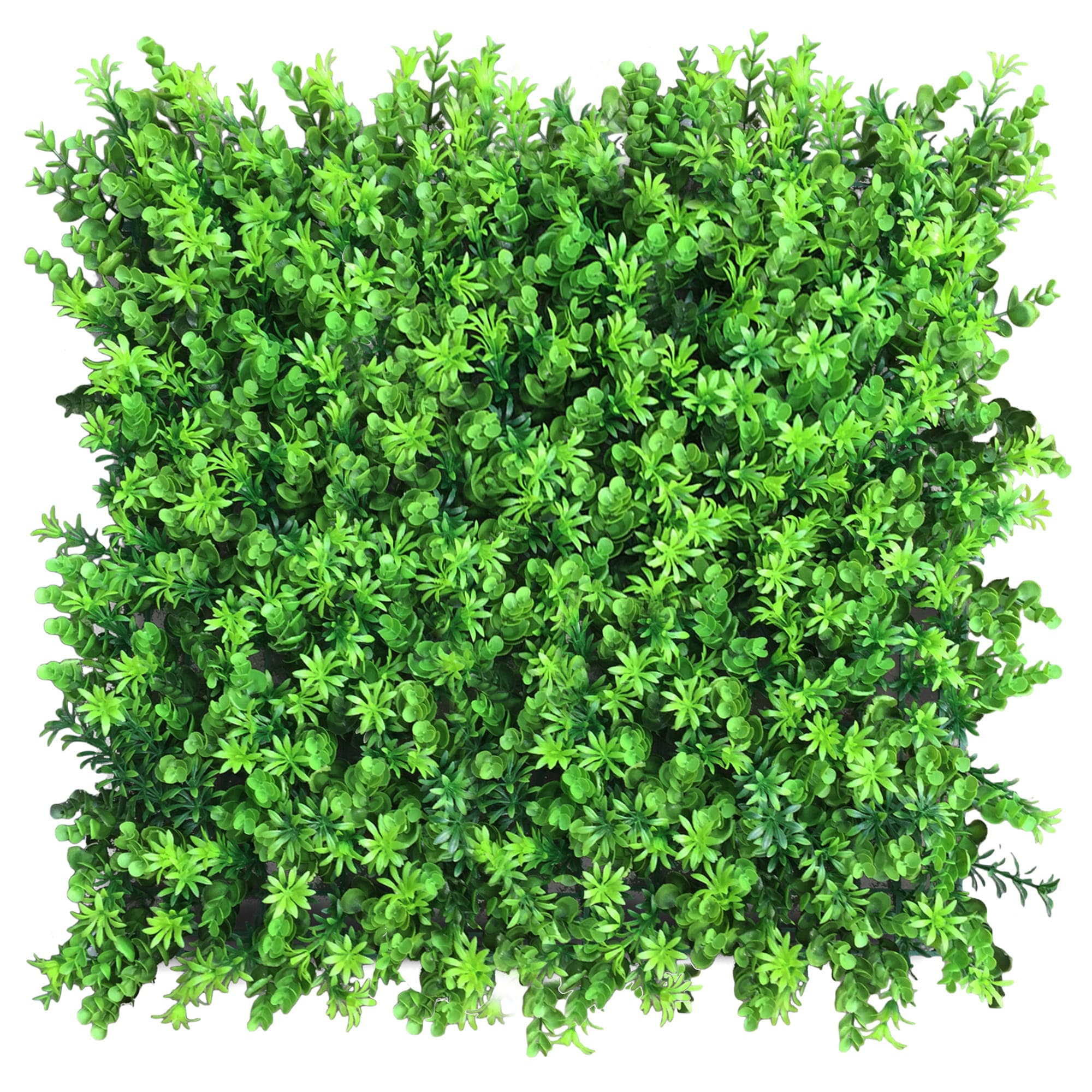 Green wall Dobrzełka 50x50cm