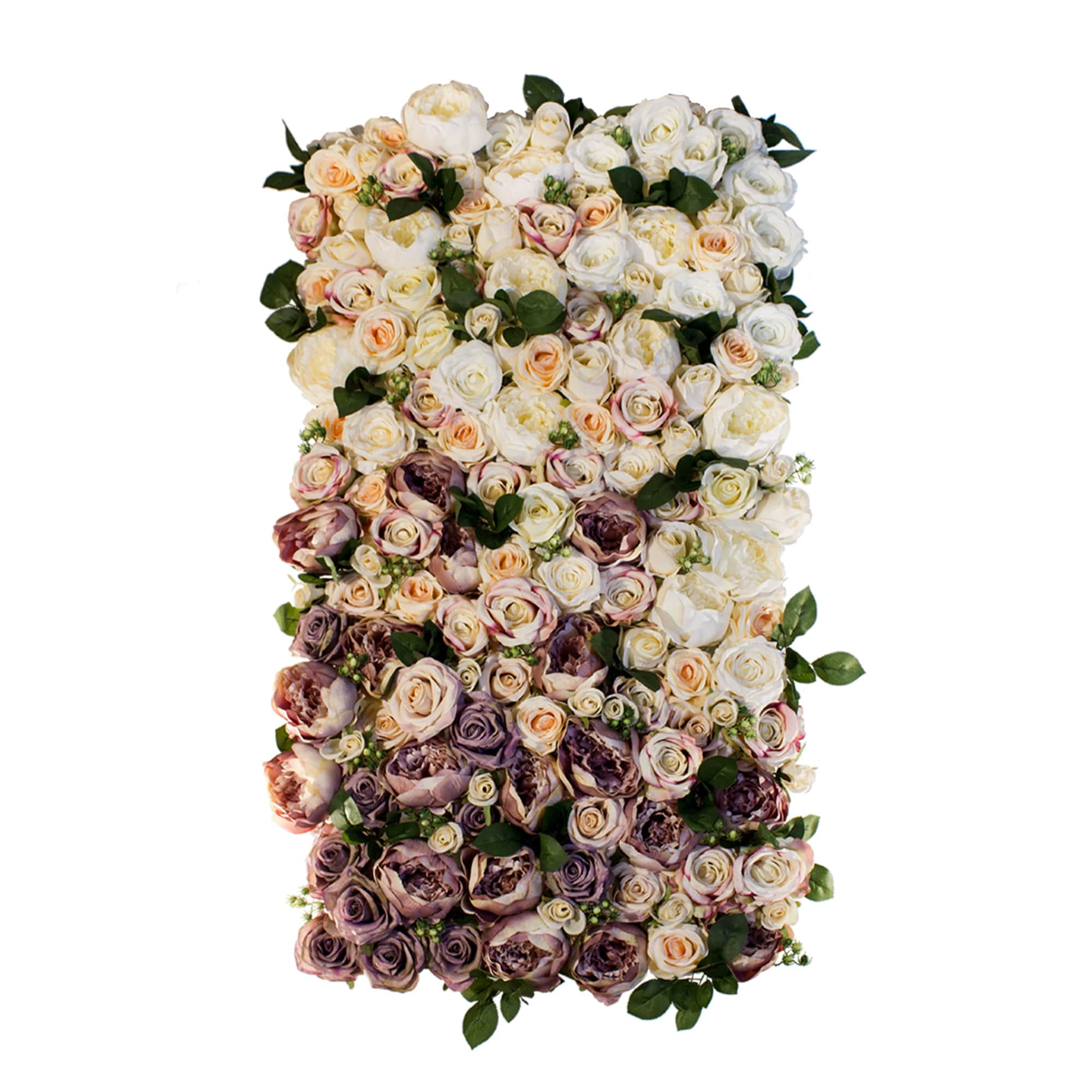 Mur de fleurs avec roses Majesté