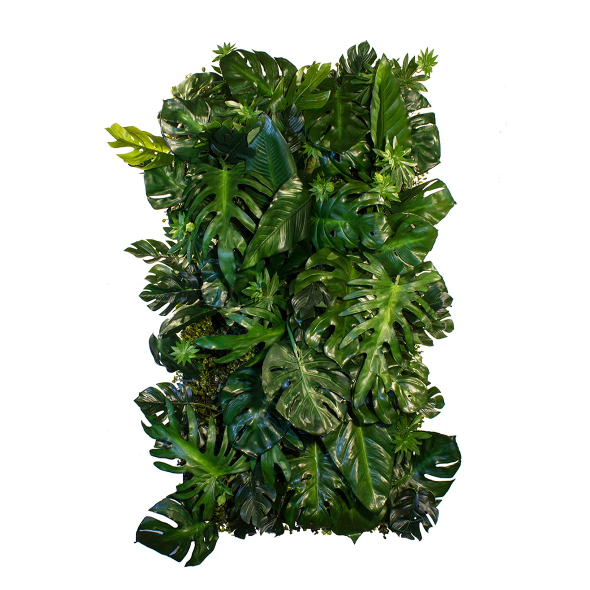 Palm Beach Vertical Garden