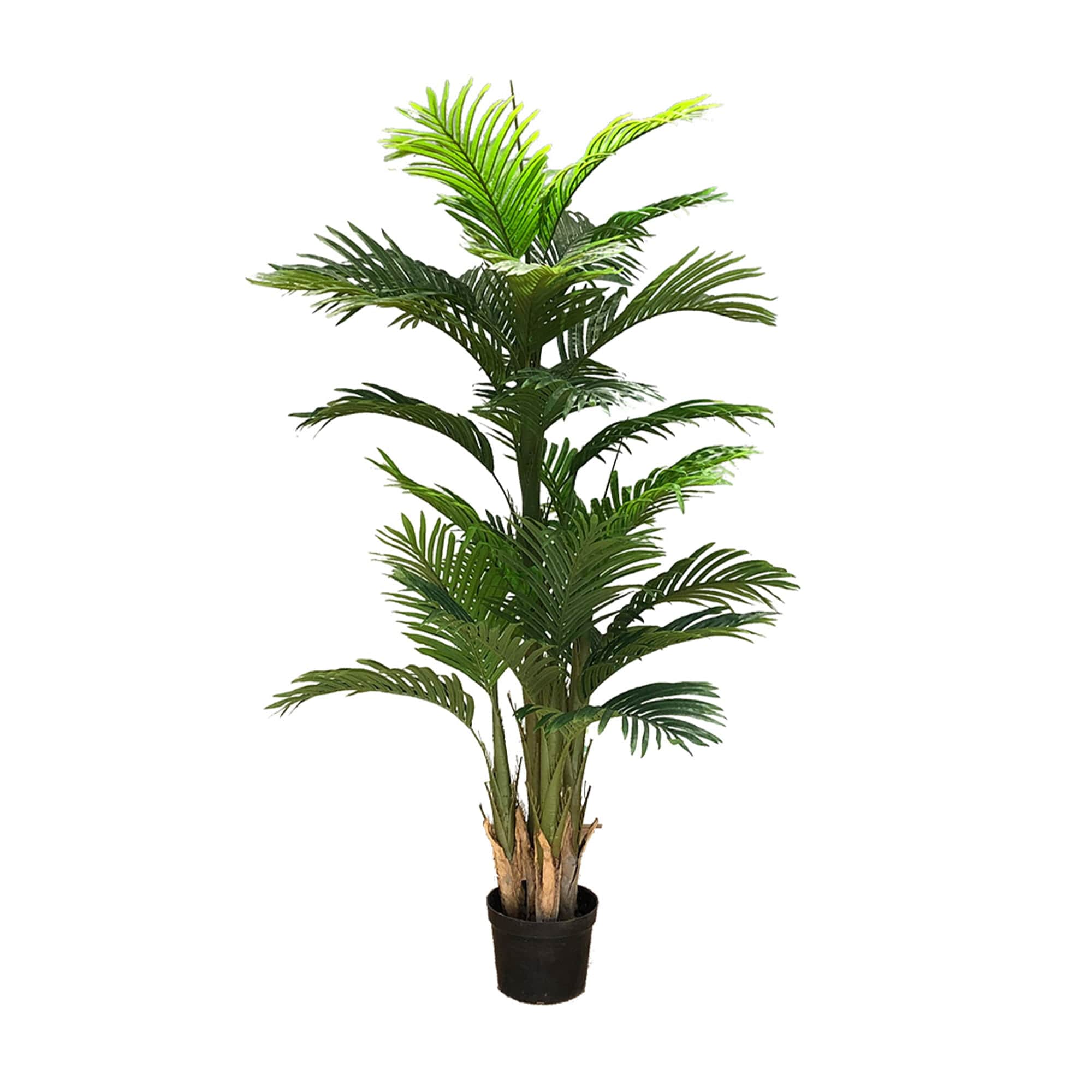 Arbre décoratif artificiel Ravenea Palm 180cm