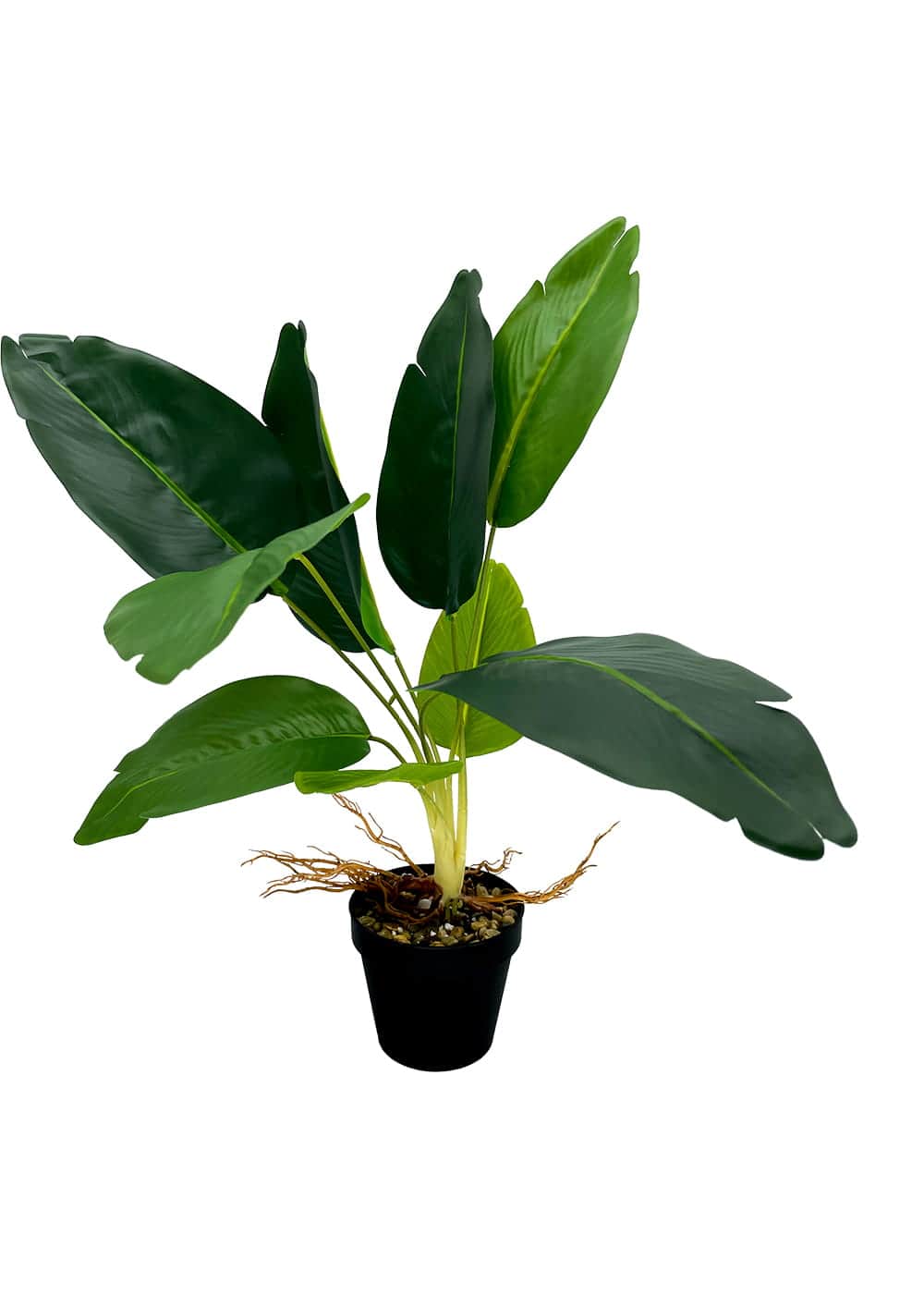 Plante artificielle dieffenbachia 55 cm