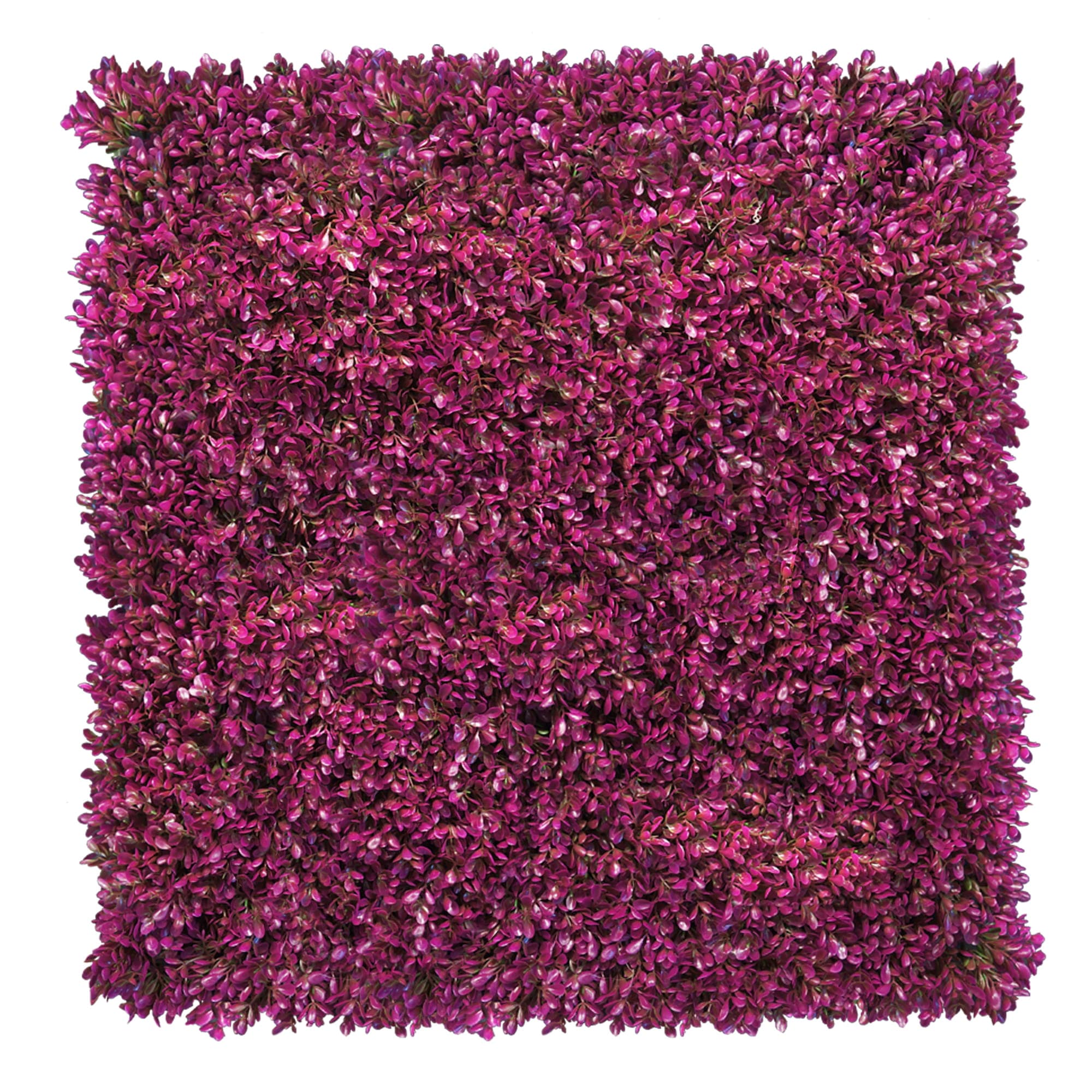 Fuchsia pink plant wall 50x50cm