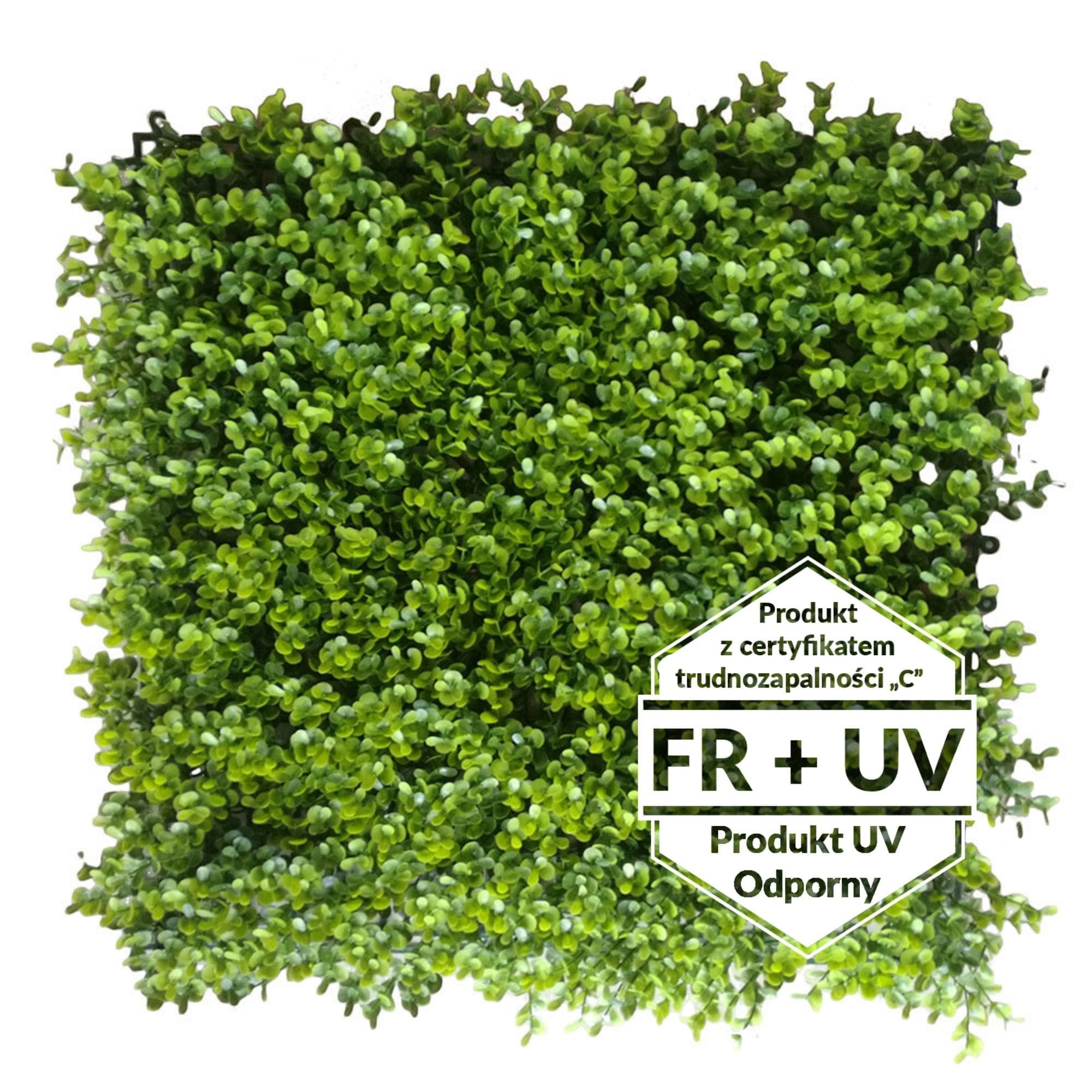 Artificial green carpet Blueberry FR UV - C 50x50cm