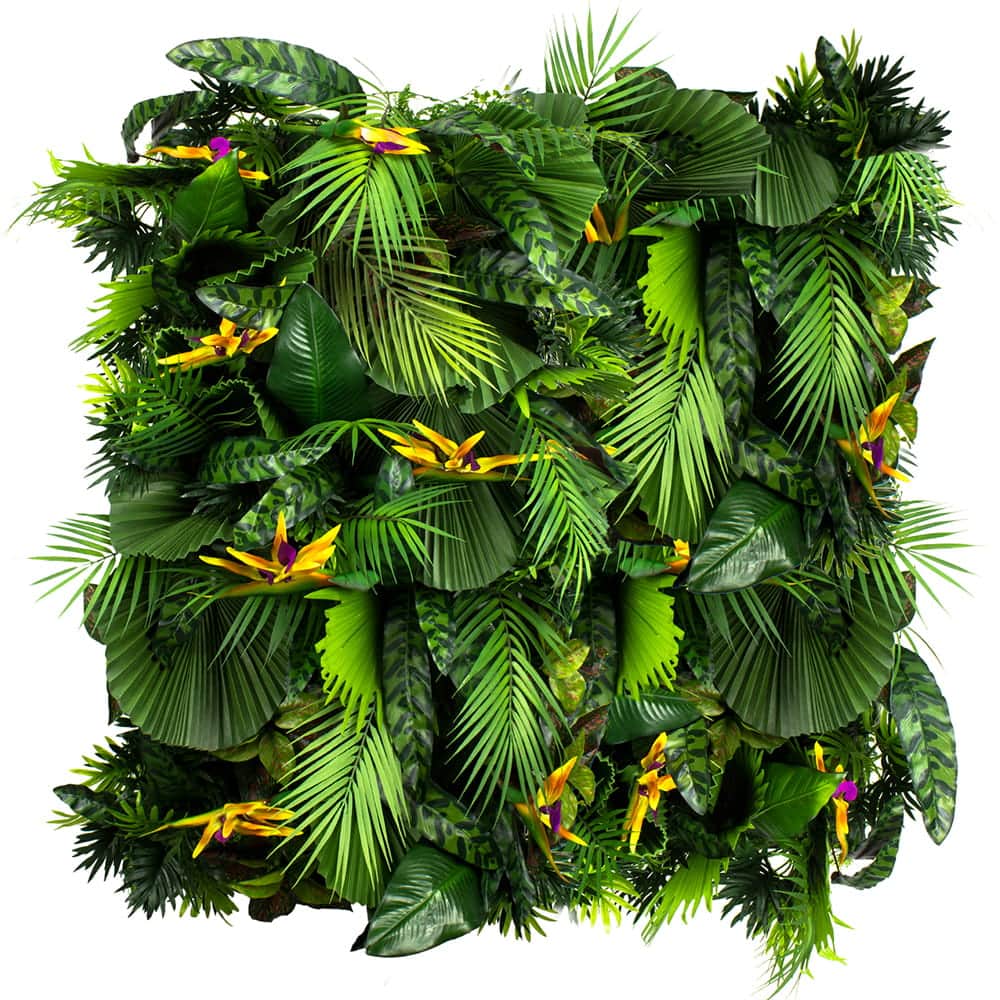 Jardin vertical Exotic Vibe