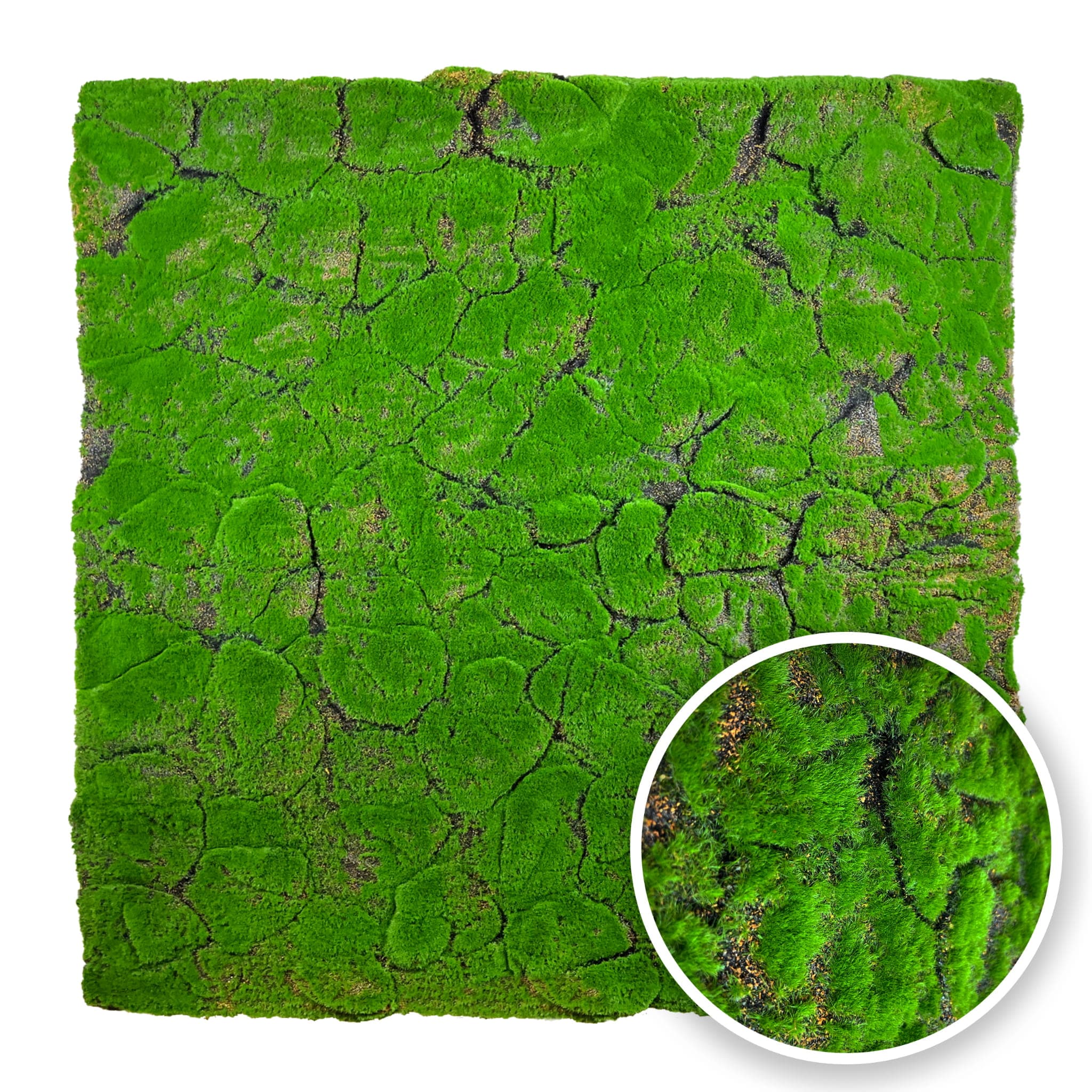 Tourbe artificielle 100x100cm