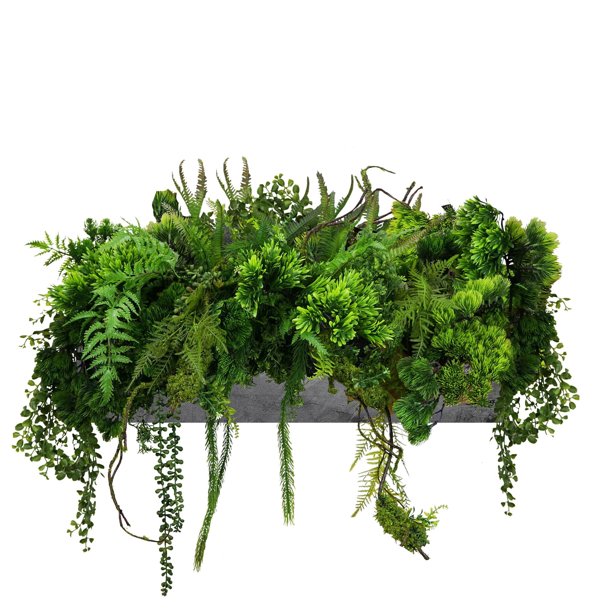 Composition pour le pot Quiet Oasis