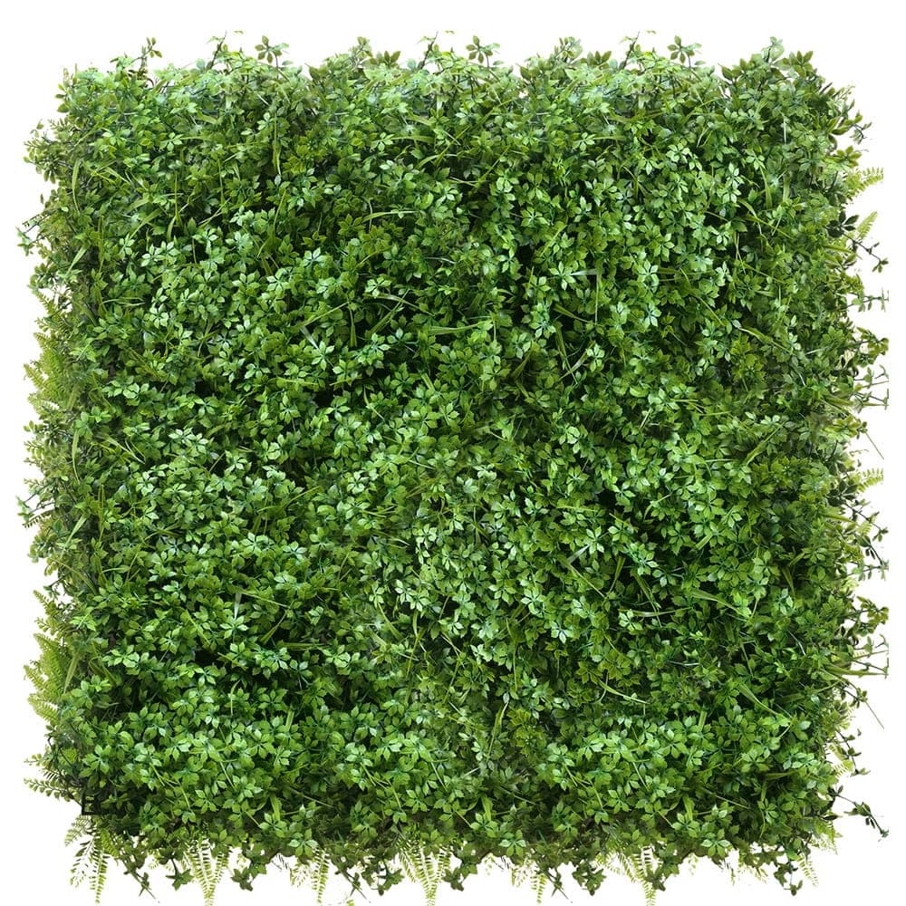 Mur végétal Lavage 50x50cm