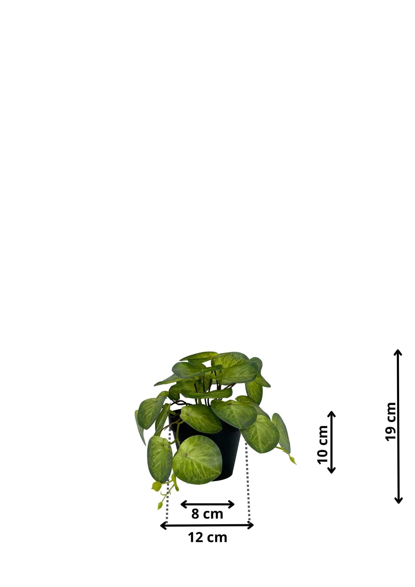 Plante Pilea artificielle 19 cm - Vert clair