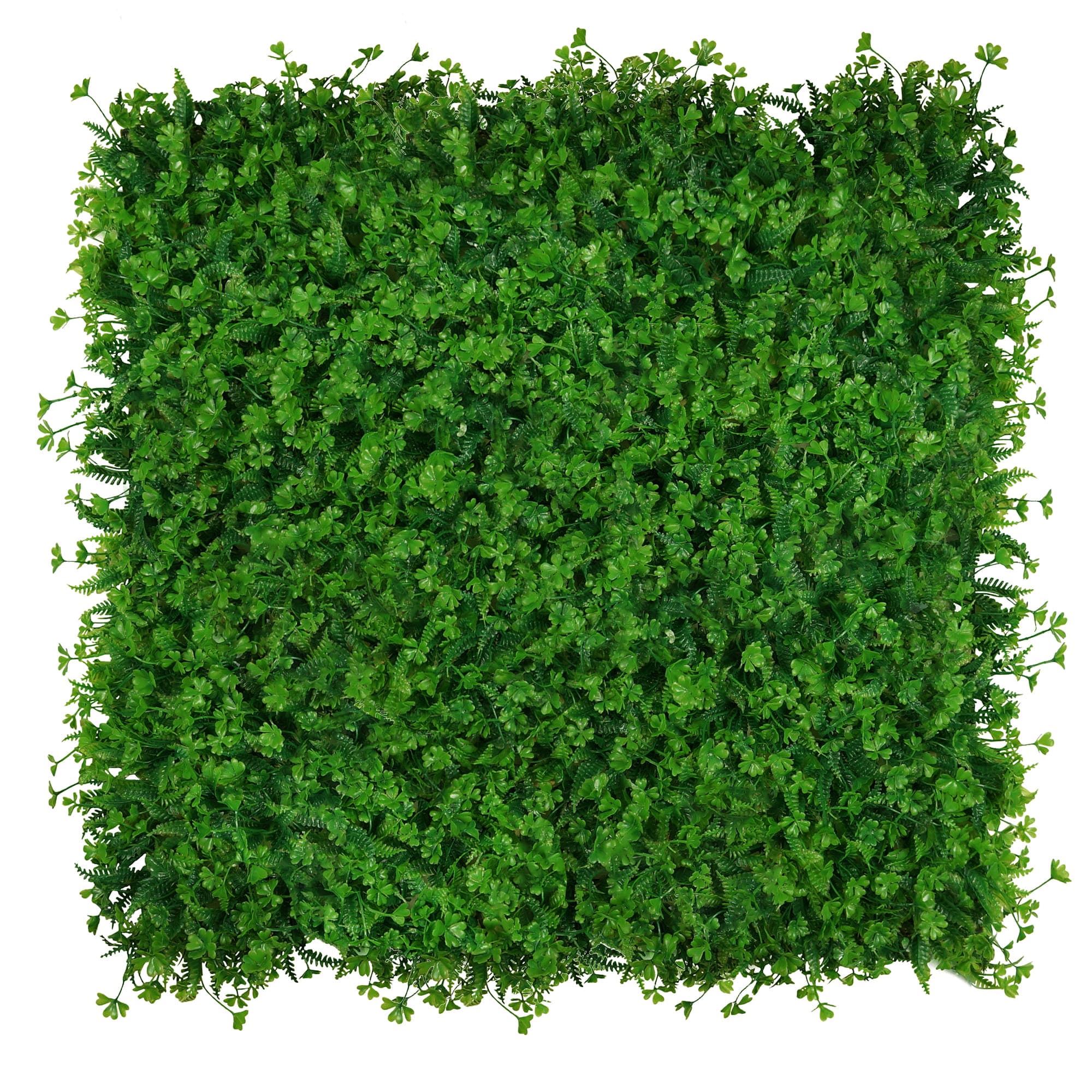 Green wall Clover 50x50cm
