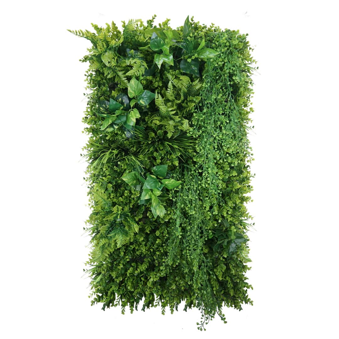 Jardin vertical vert sauvage