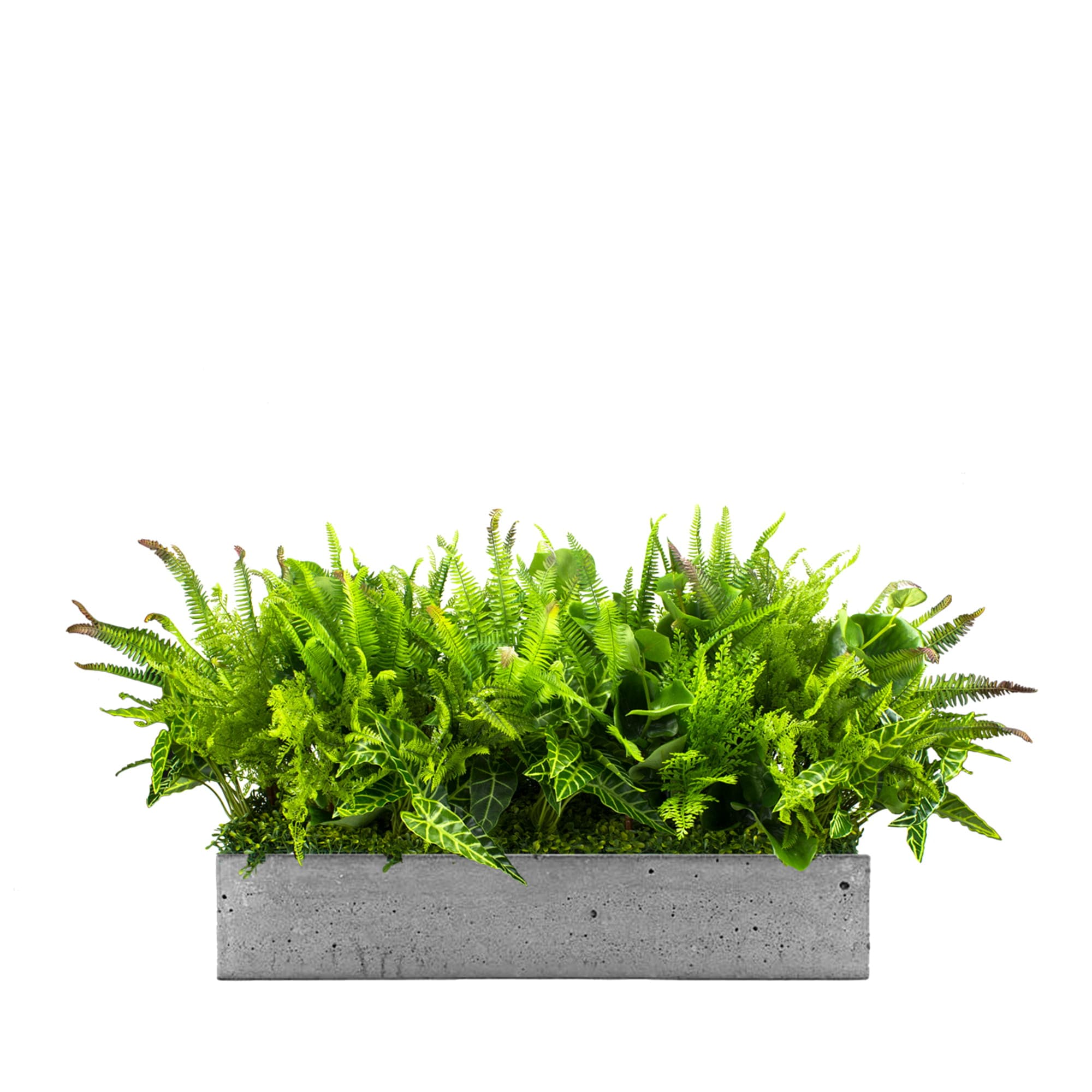 Composition for the Nature Pride pot