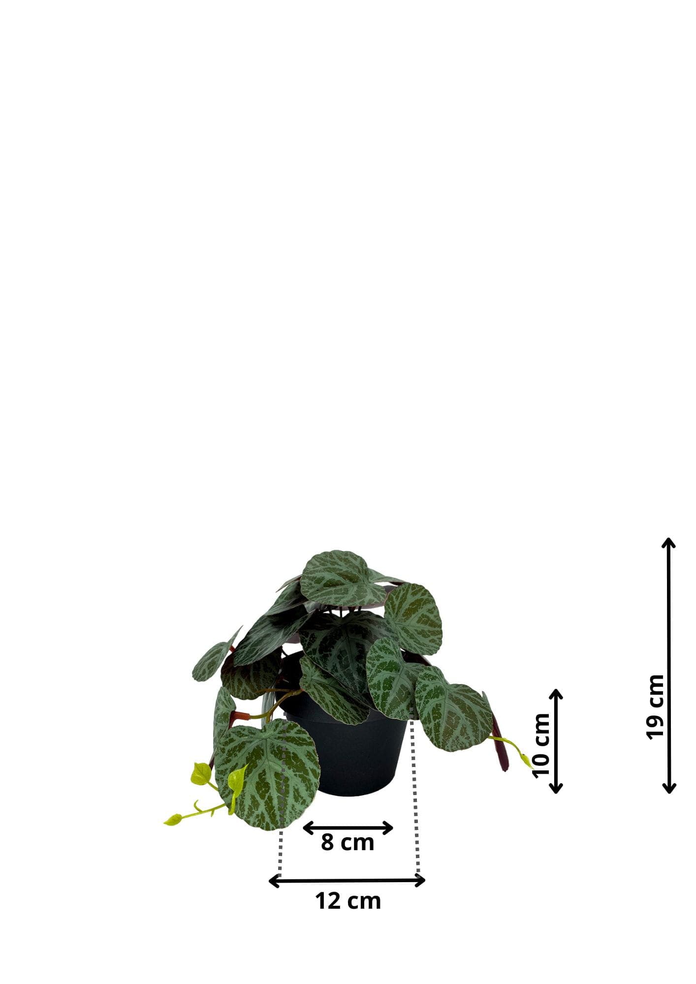 Plante Pilea artificielle 19 cm - Vert Foncé