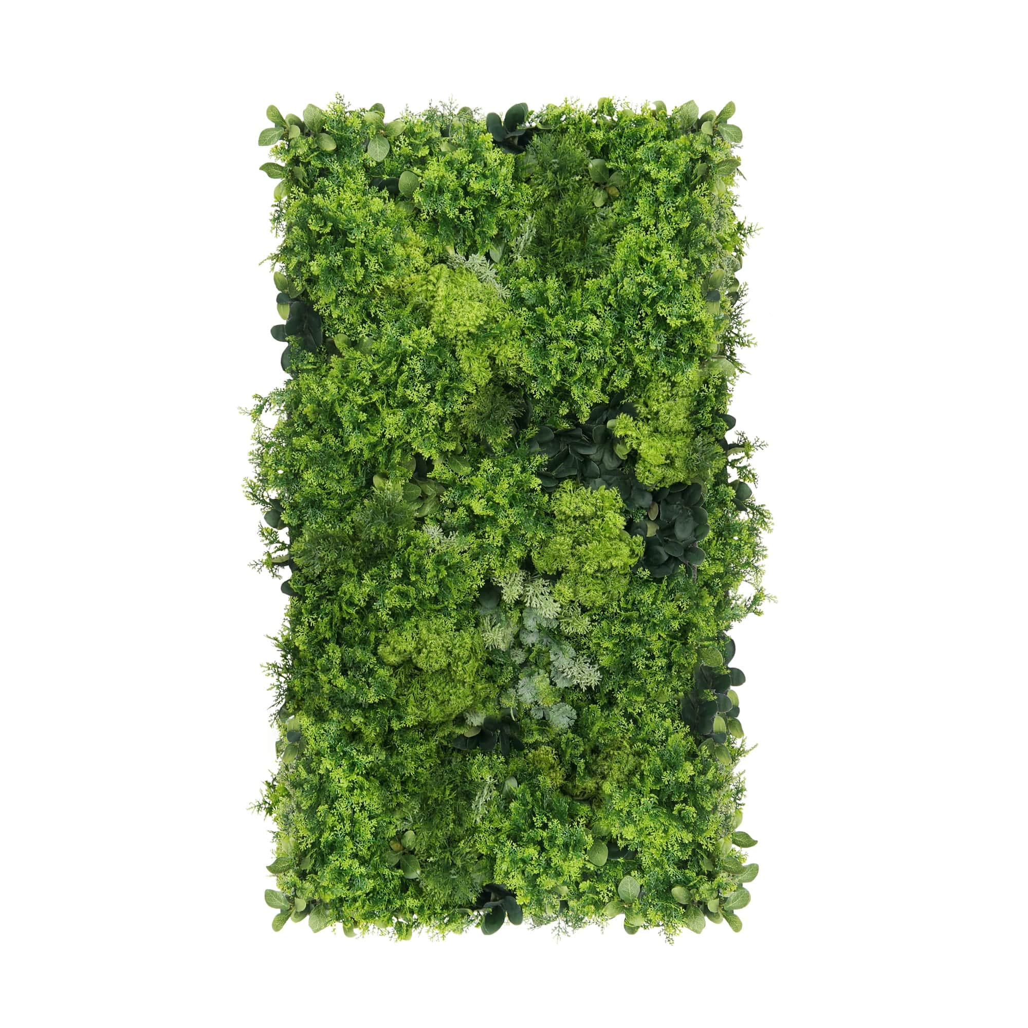 Jardin vertical en maille de mousse