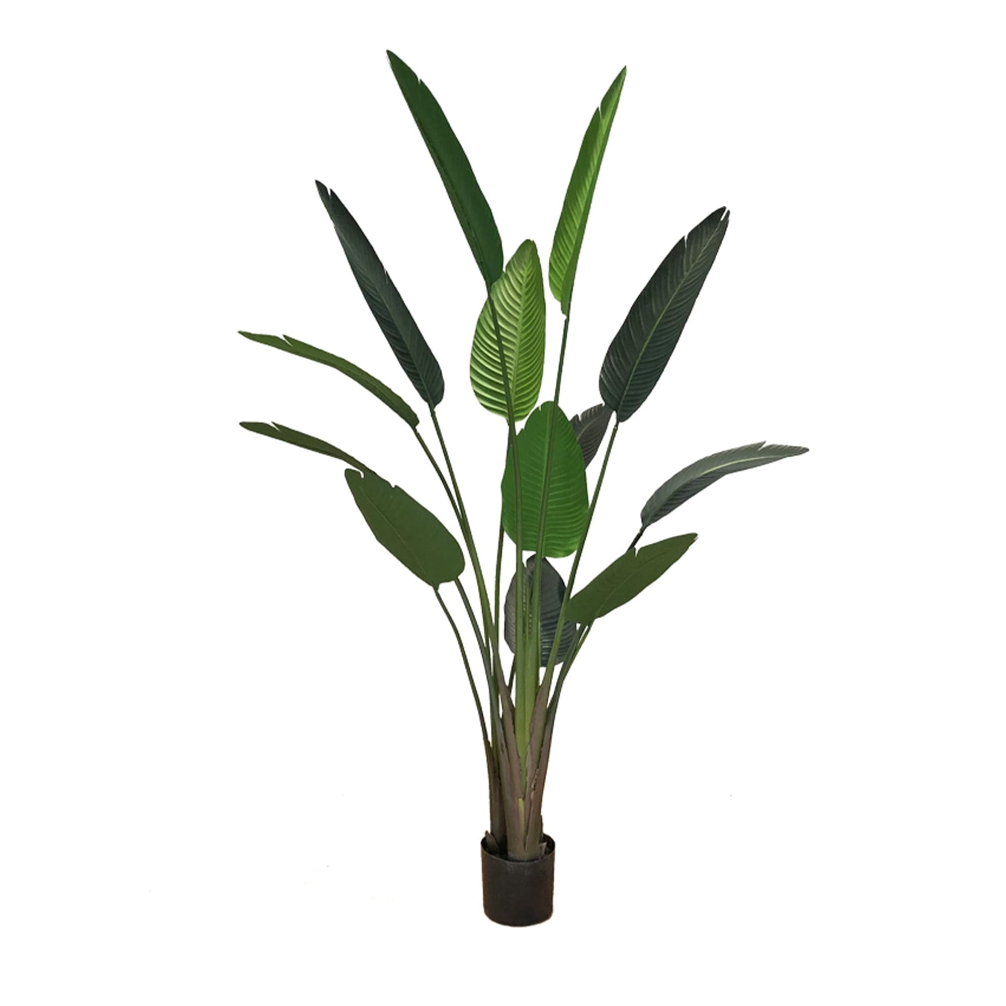 Plante artificielle en pot Strelitzia 190cm – Green Designers