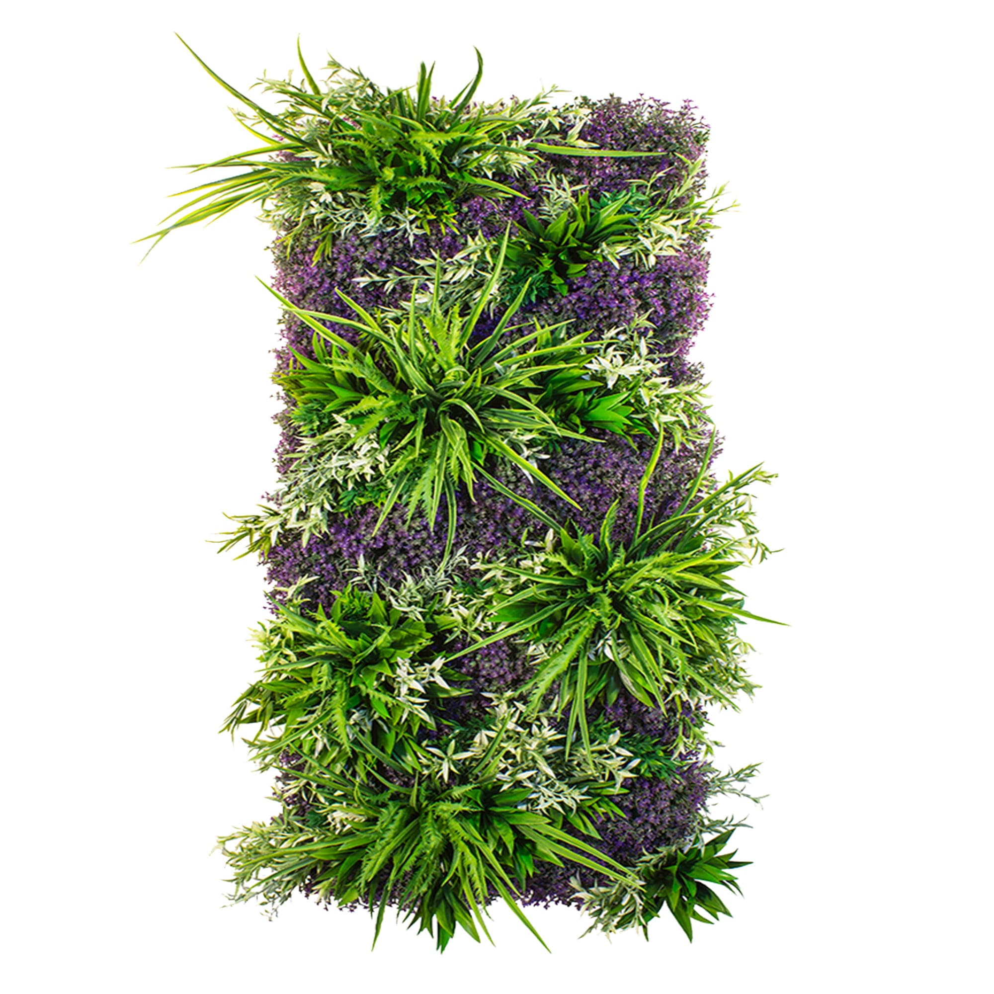 Provençal vertical garden