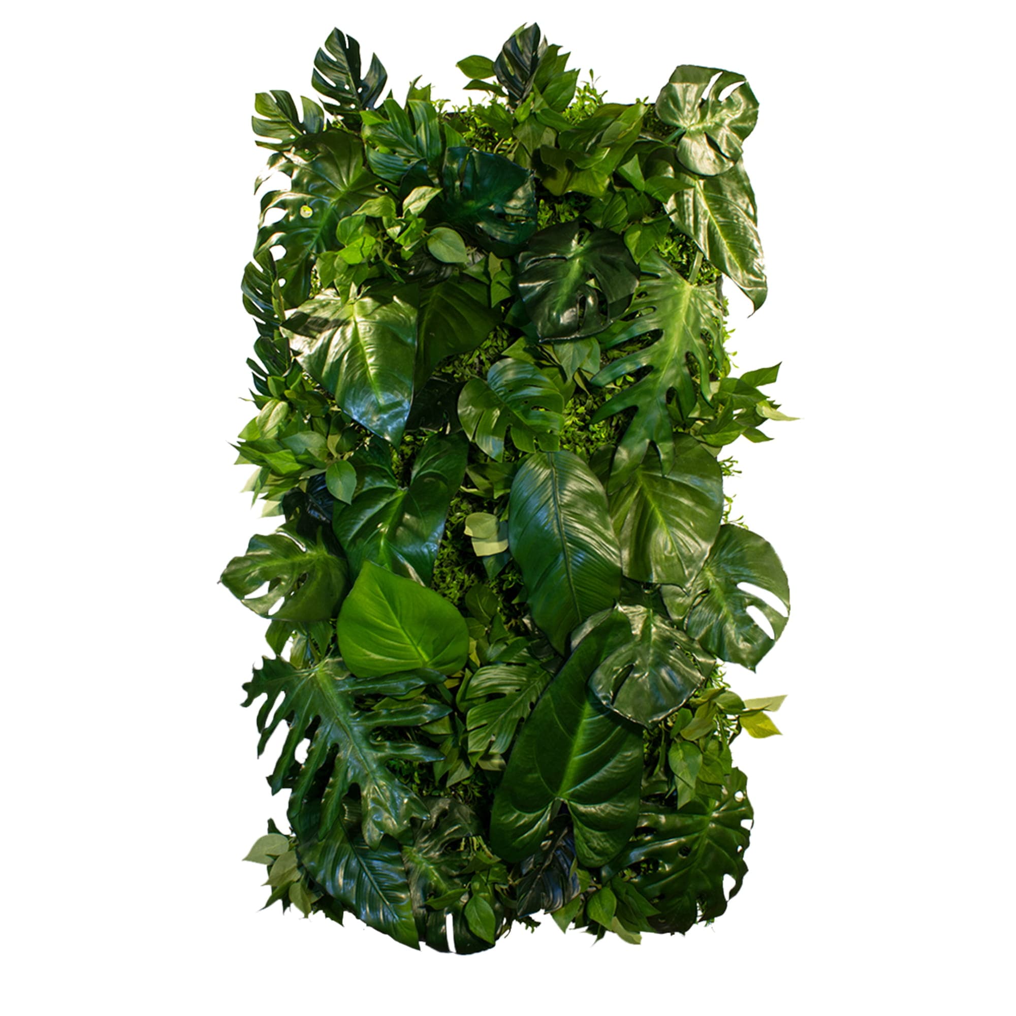 Jardin vertical de Coconut Island – Green Designers