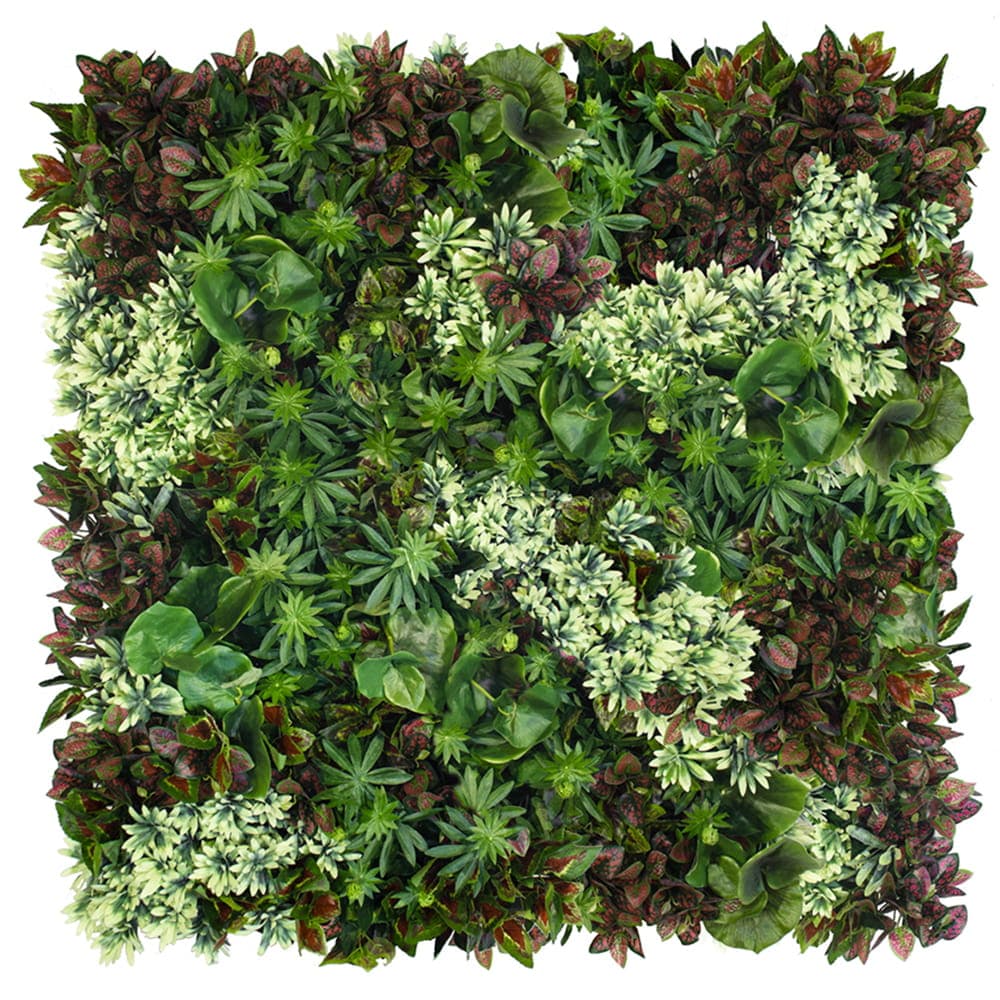 Jardin vertical toundra