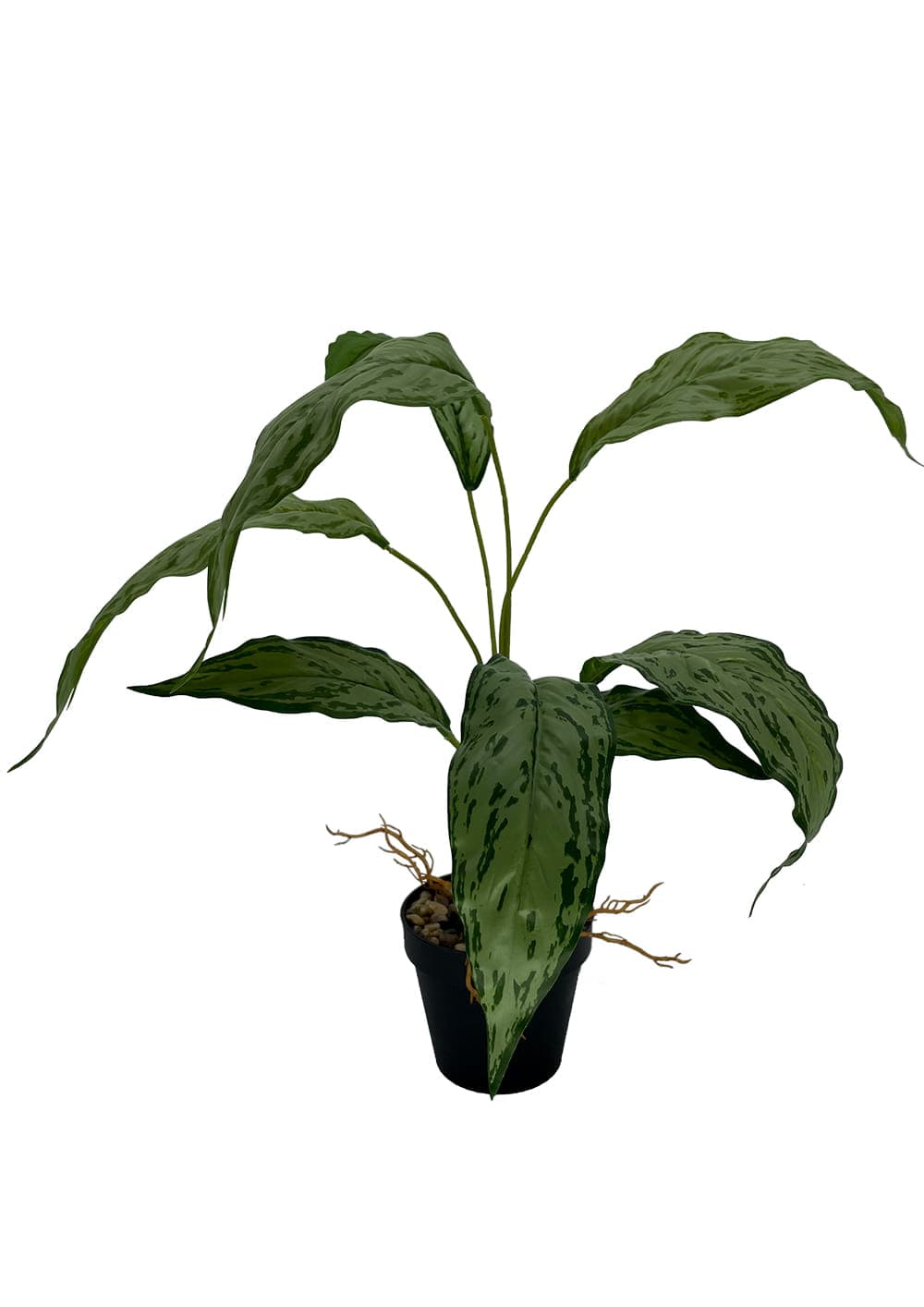 Artificial plant Spatifilium 60 cm