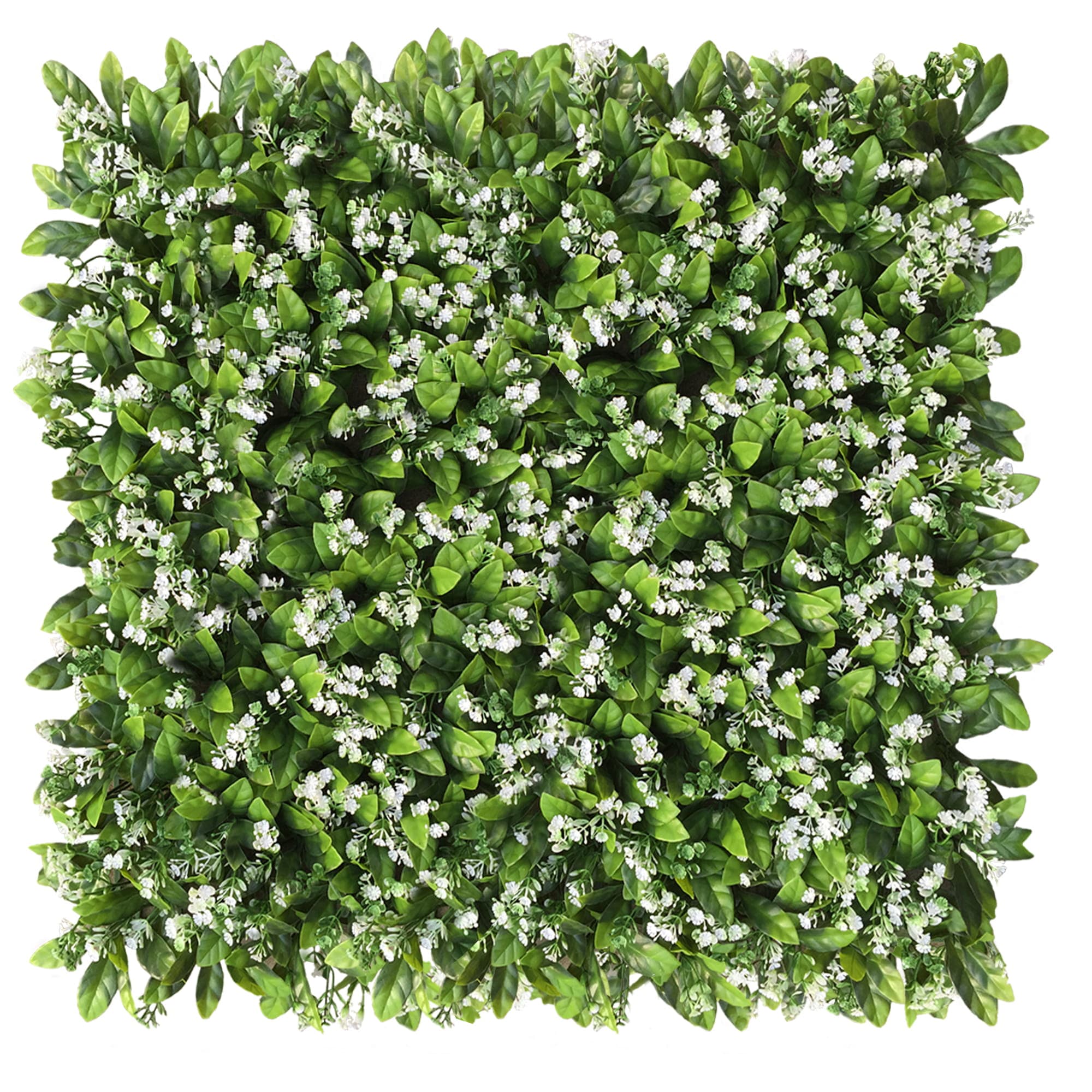 Cress green wall 50x50cm