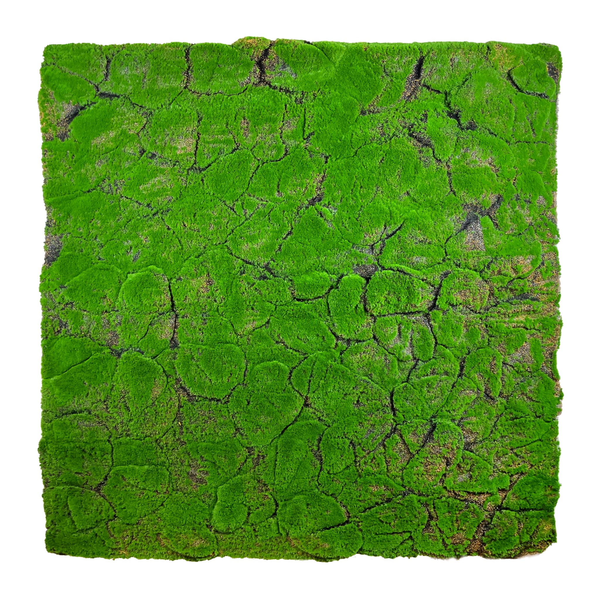 Tourbe artificielle 100x100cm – Green Designers