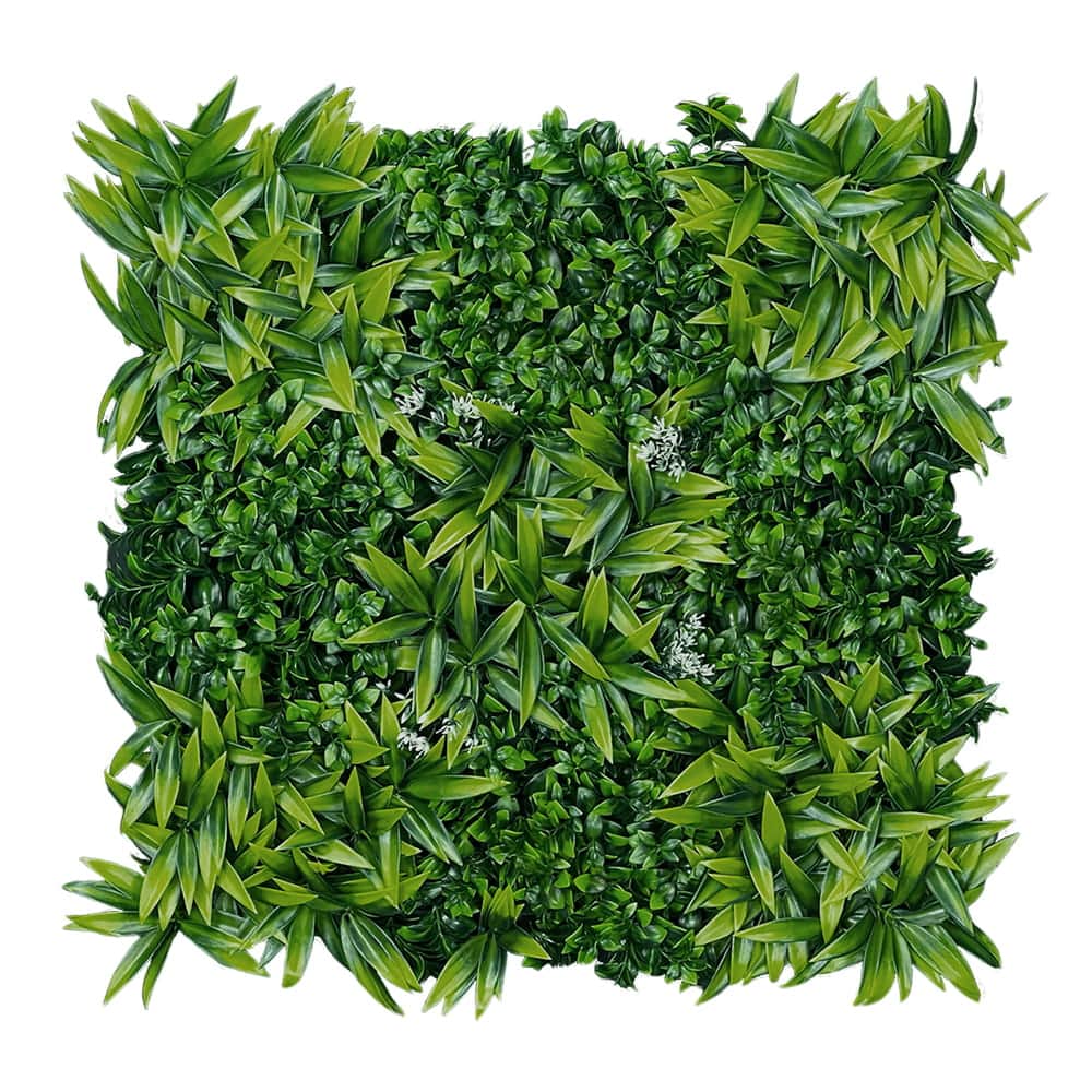 Mur végétal Citronnier 50x50cm