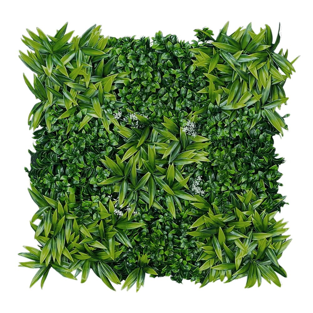 Grüne Wand Zitronenbaum 50x50cm