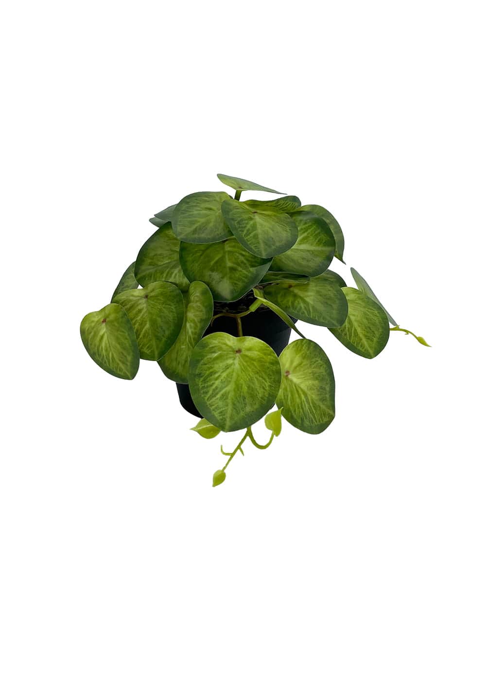 Planta Pilea artificial 19 cm