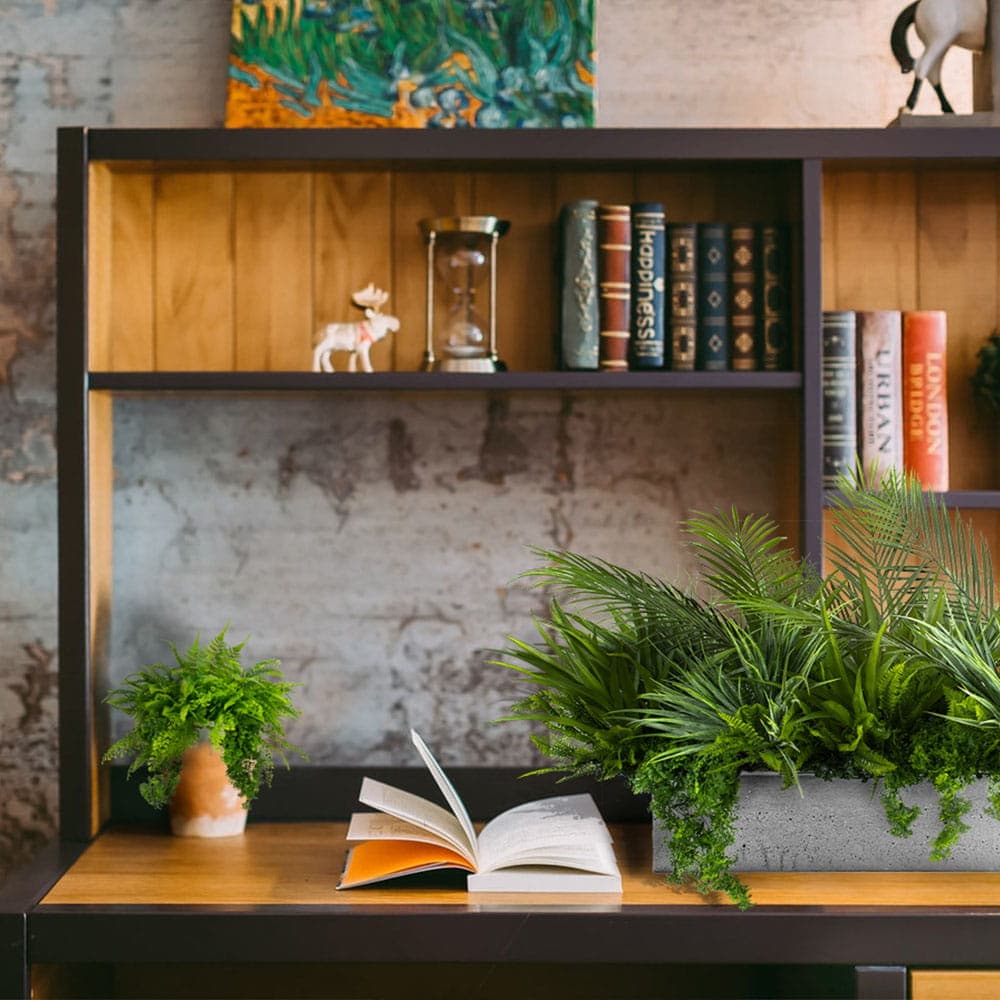 Remplir le pot Coast Side avec des plantes