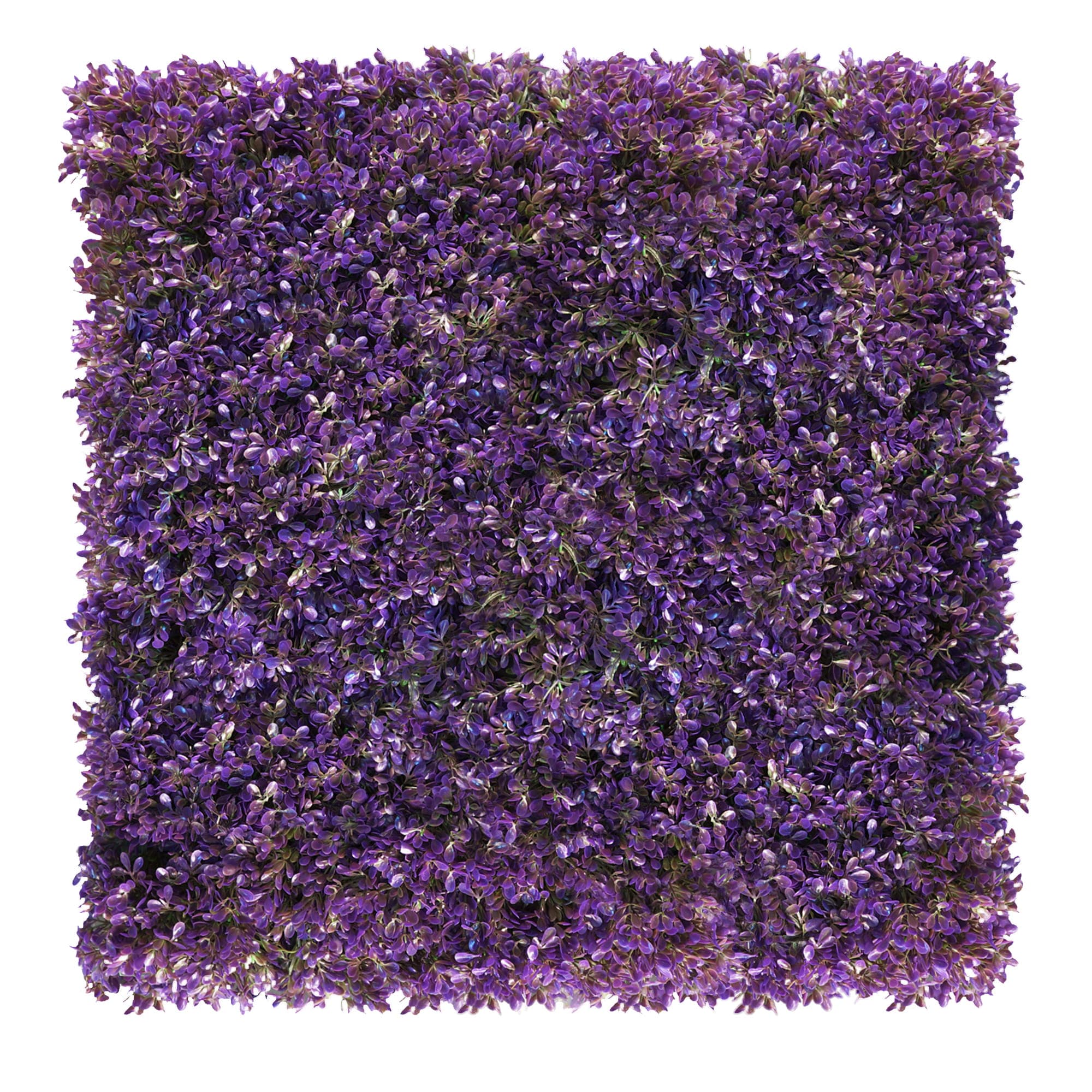 Plant wall Fuchsia purple 50x50cm