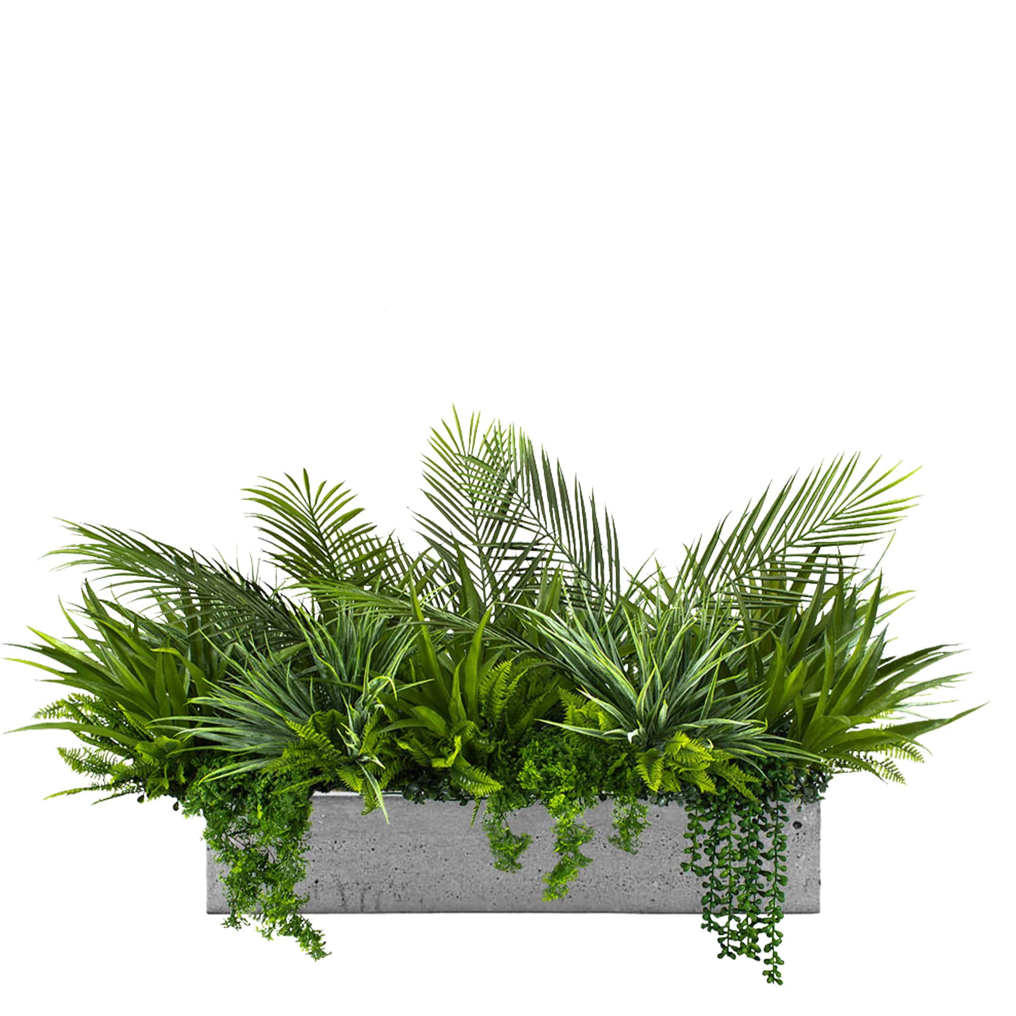 Remplir le pot Coast Side avec des plantes