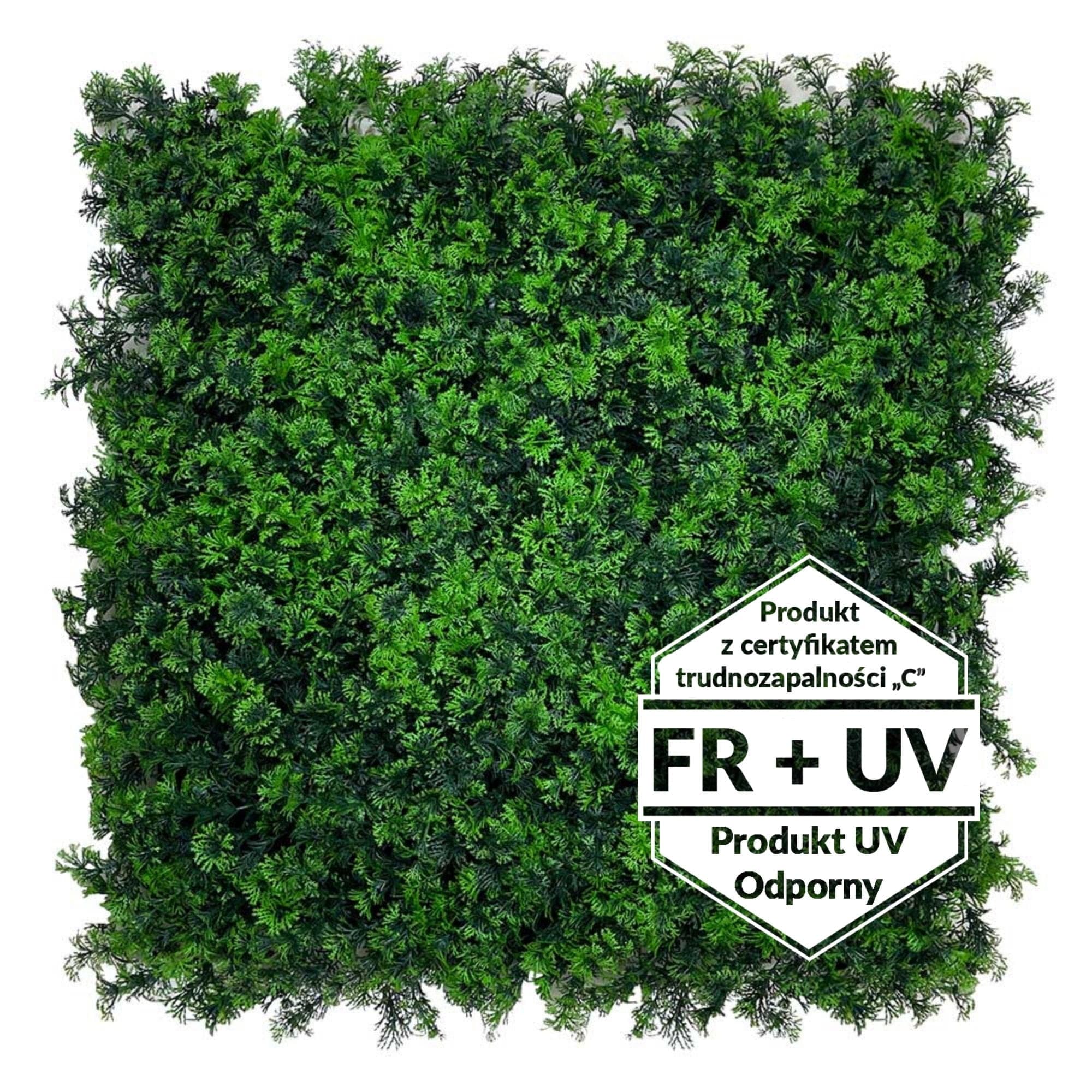 Artificial green carpet Pterygium FR UV - C 50x50cm