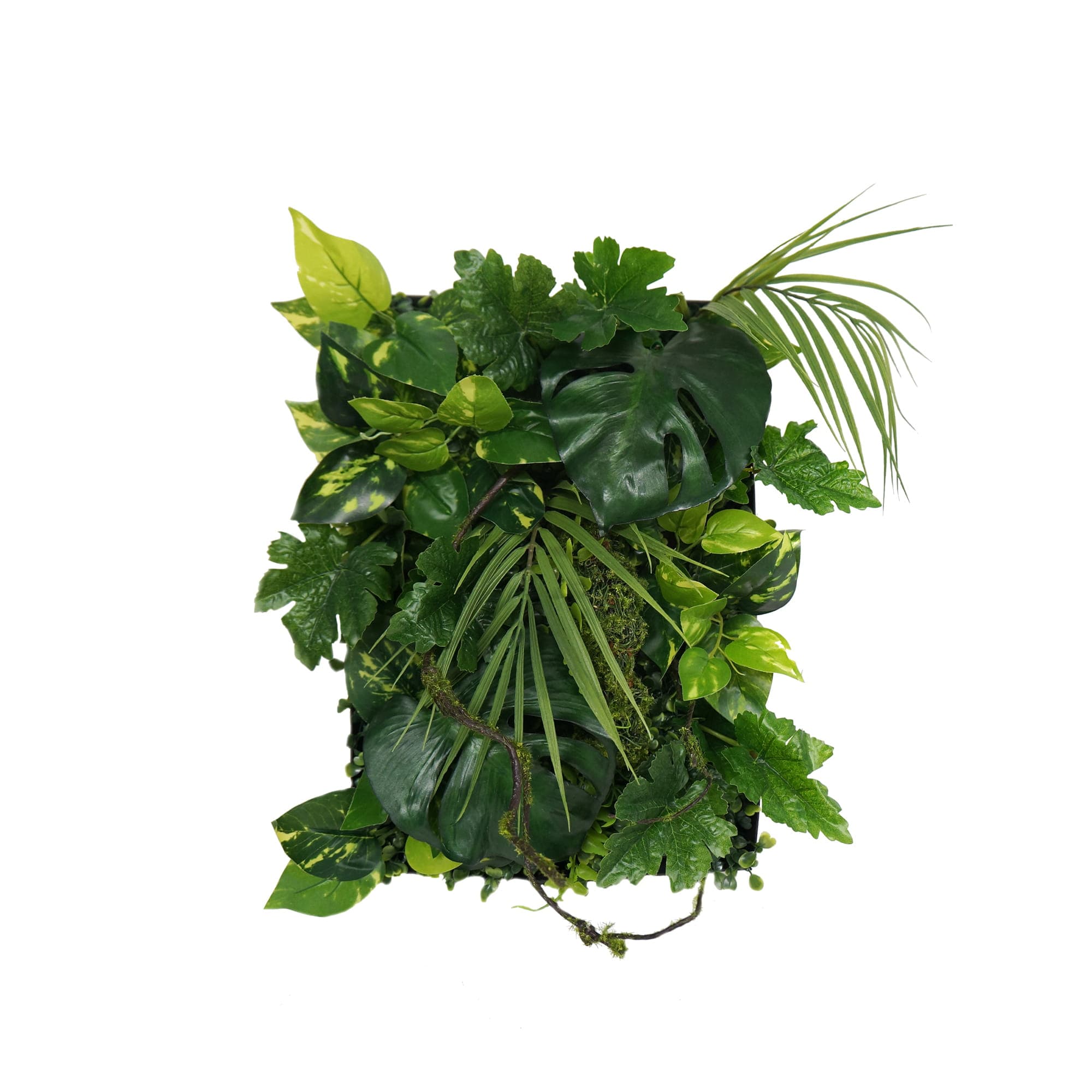 Échantillon de panneau 35 x 24 cm – Green Designers