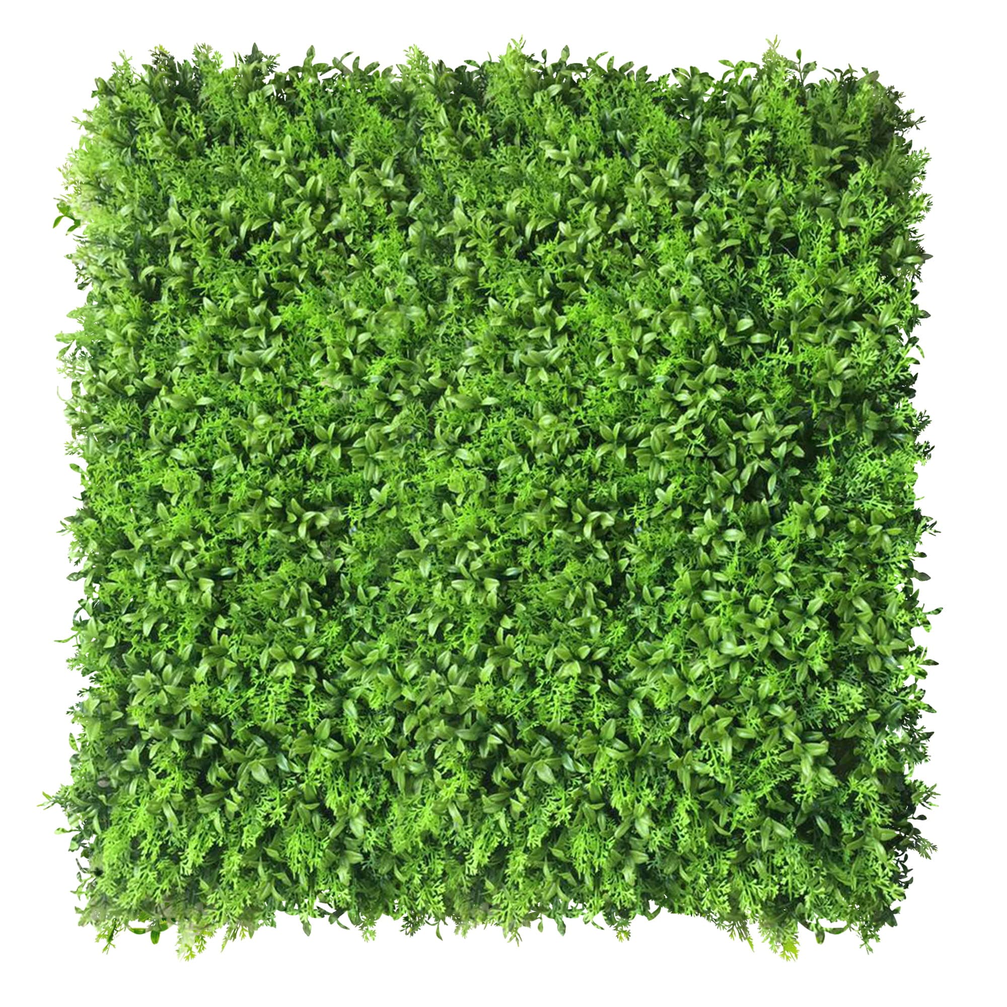 Zmienka green wall 50x50cm