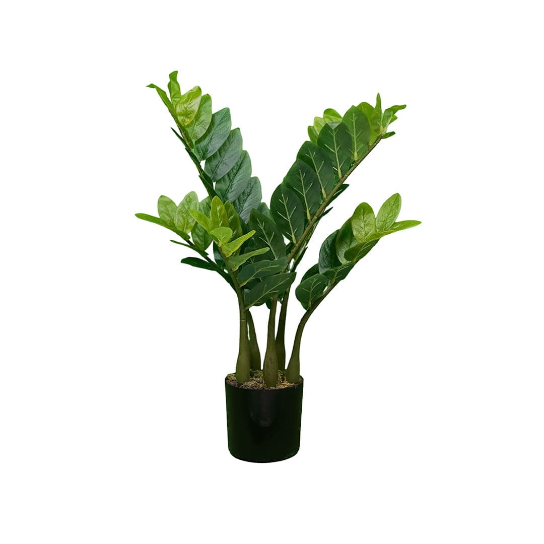 Plante artificielle Zamiokulkas 60cm