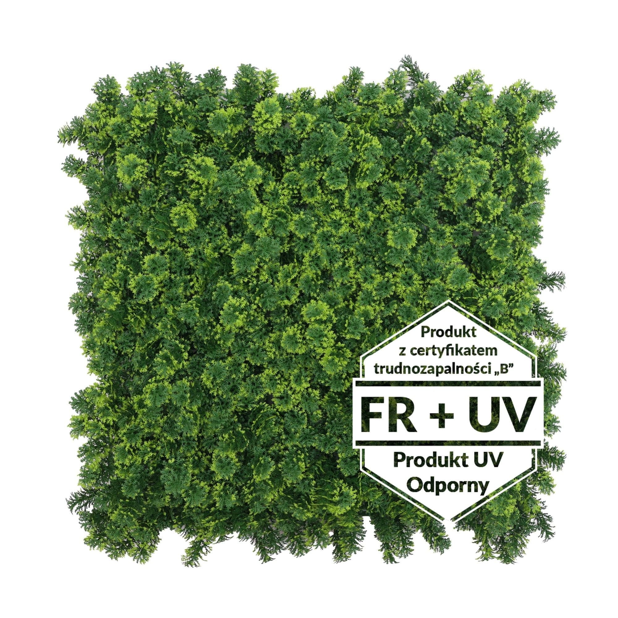 Artificial green carpet Pterygium FR - B UV 50x50cm