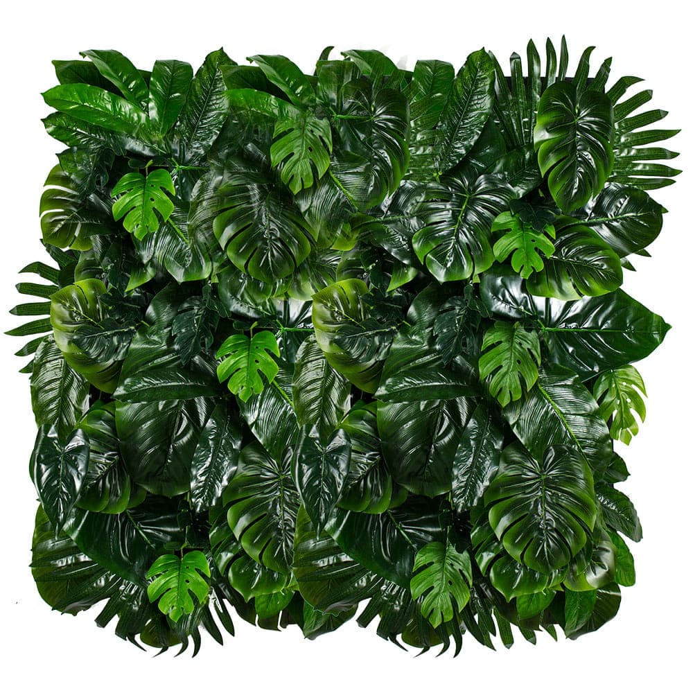 Jardin vertical Monstera Madness