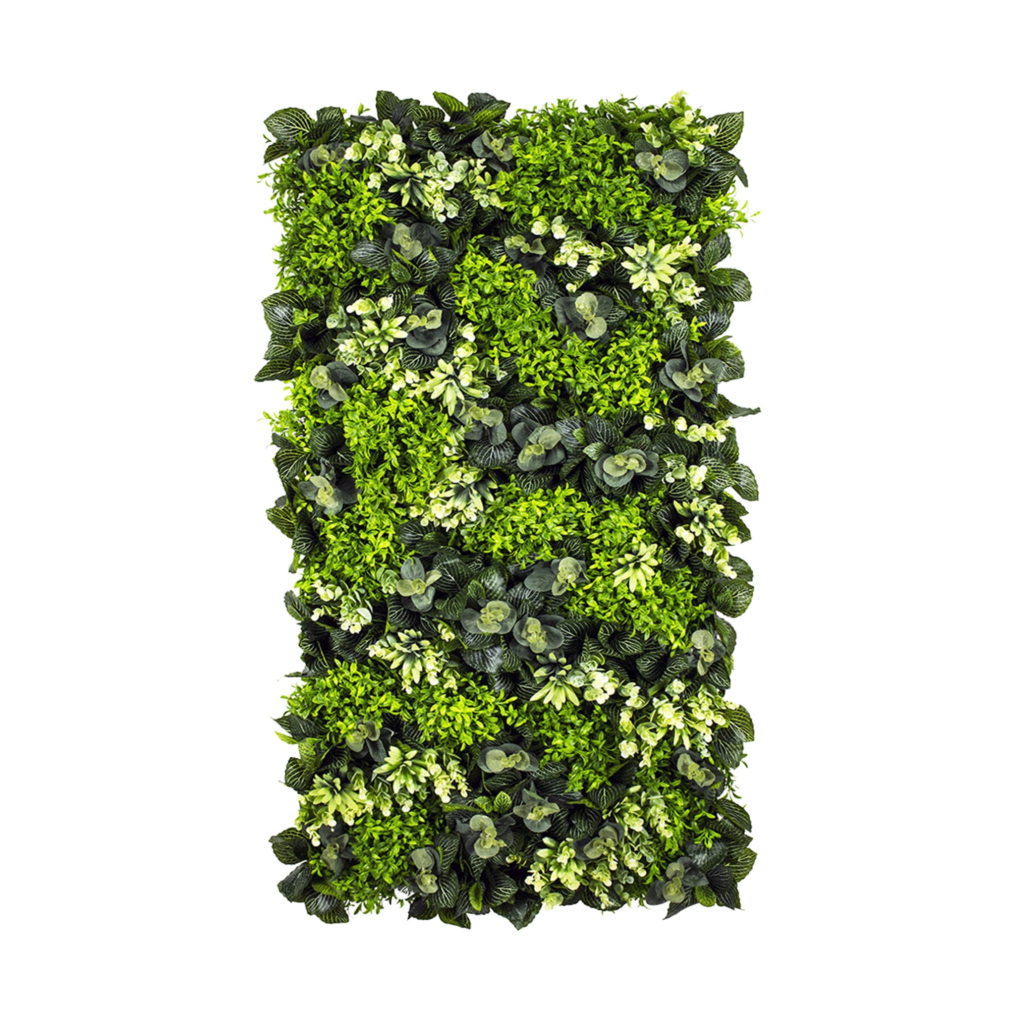 Small green vertical garden