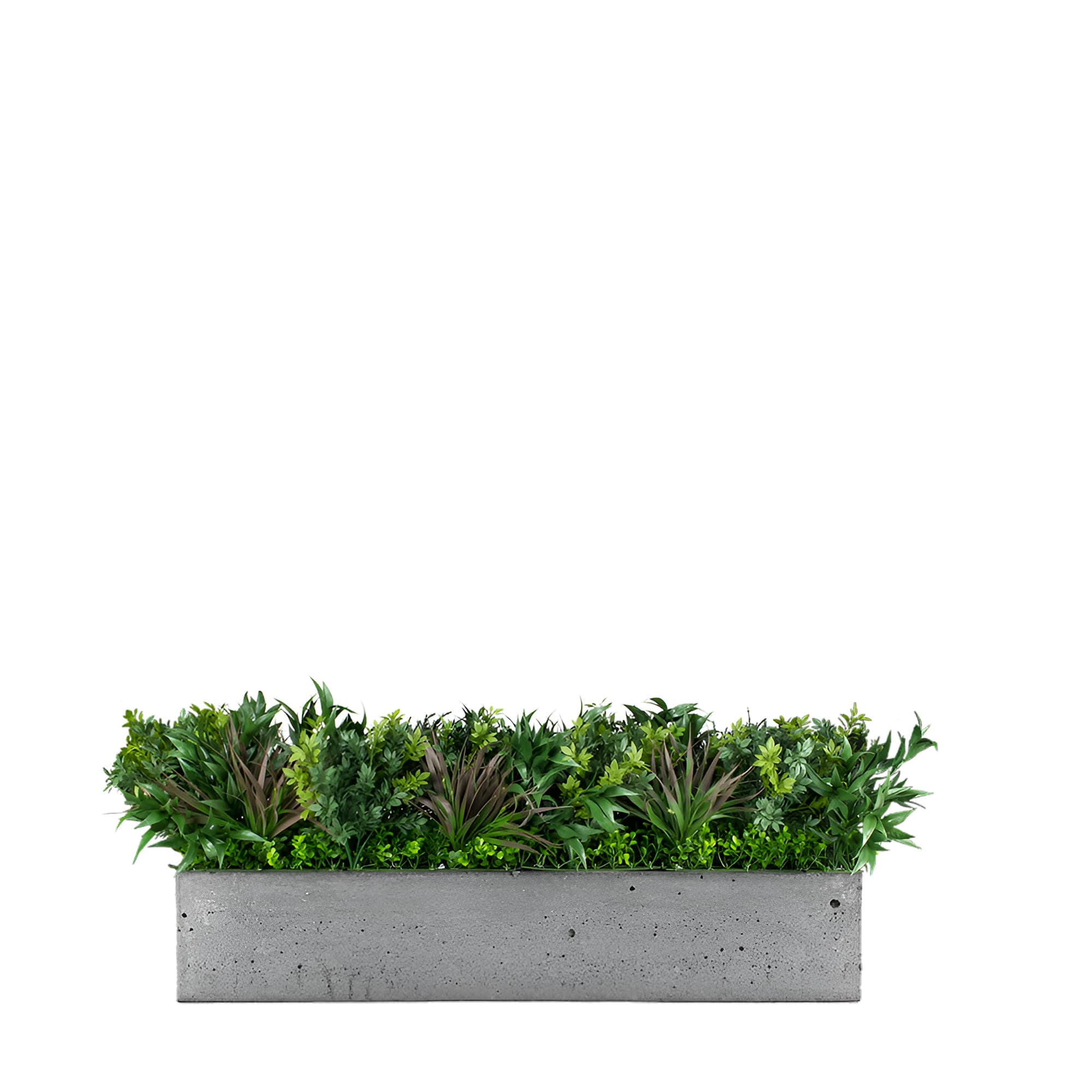 Composition pot de fleurs Passerine FR UV