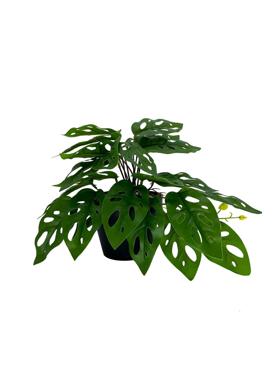Artificial plant Monstera Monkey 25 cm