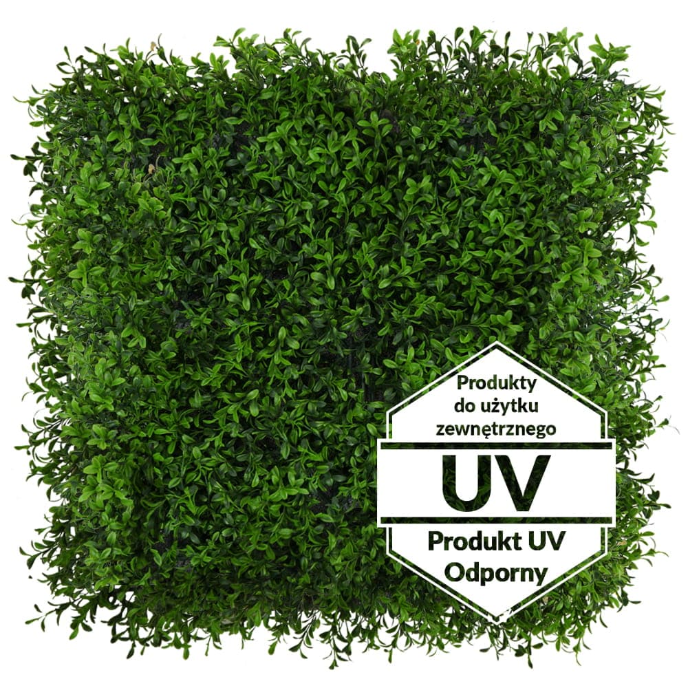 UV carpet Artificial boxwood green 50x50cm
