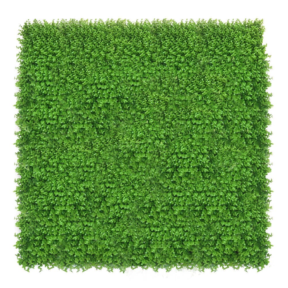 Mur végétal Wielomlecz 50x50cm
