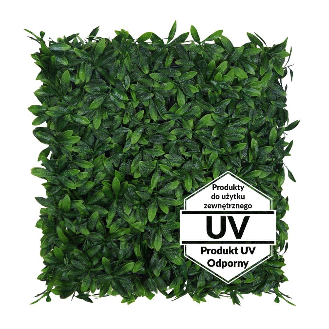 Tappeto UV artificiale verde alloro ciliegia 50x50 cm