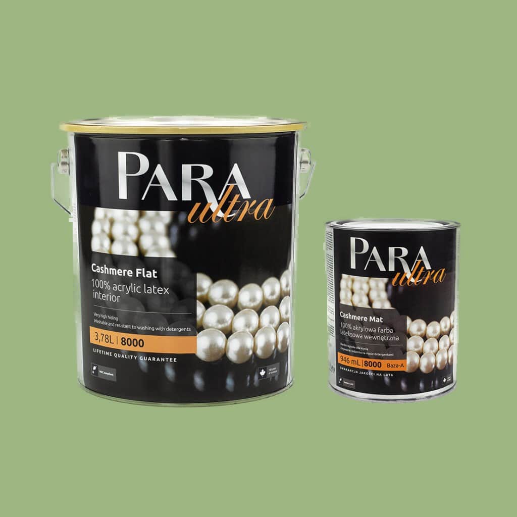 PARA Ultra 8000 CAREFREE – Wonderwall Studio