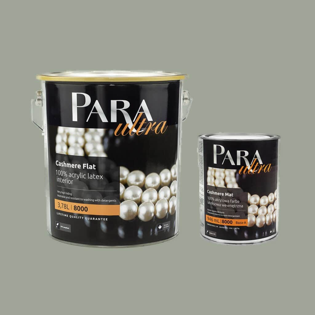 PARA Ultra 8000 CHARCOAL TINT – Wonderwall Studio