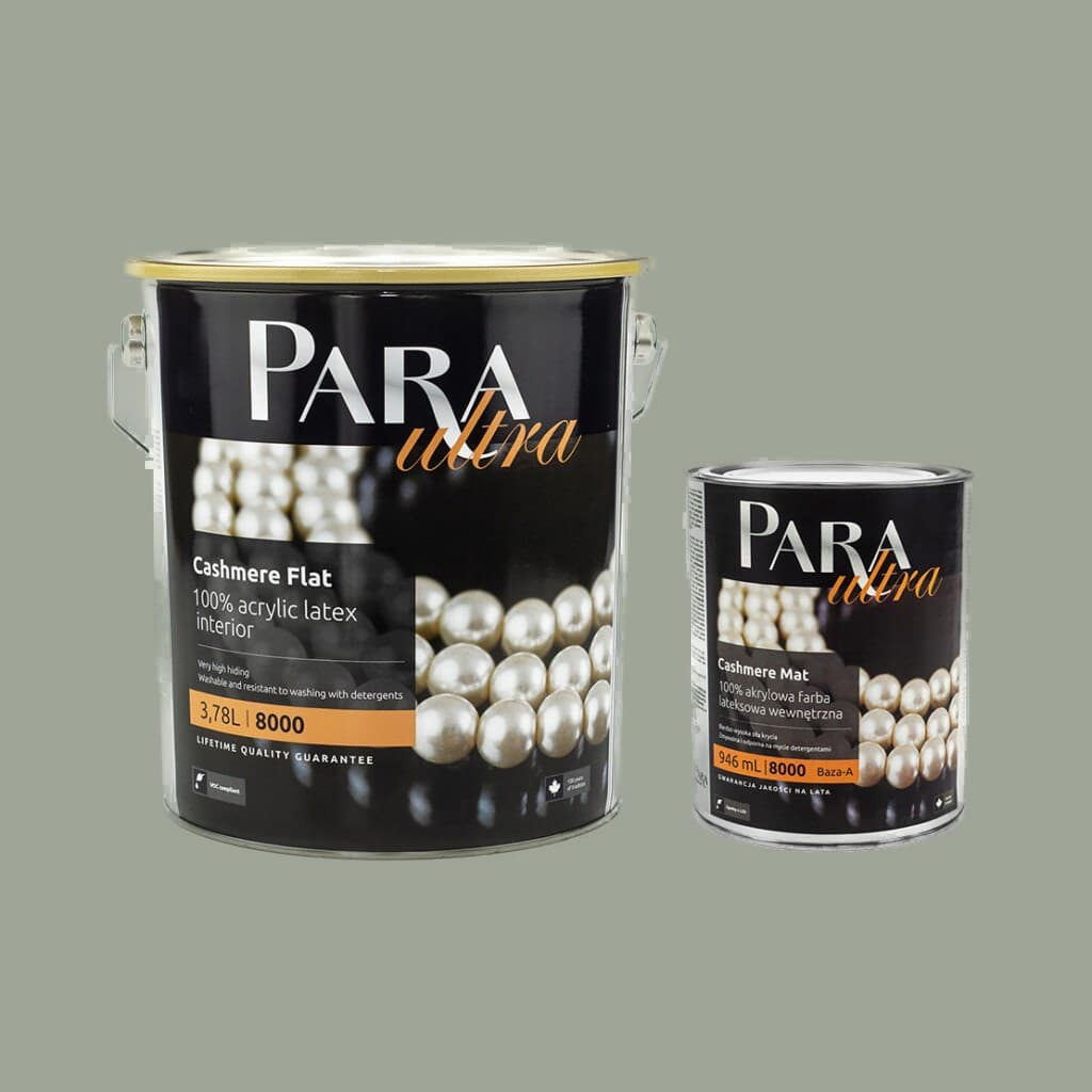 Peinture PARA Ultra 8000 CHARCOAL TINT
