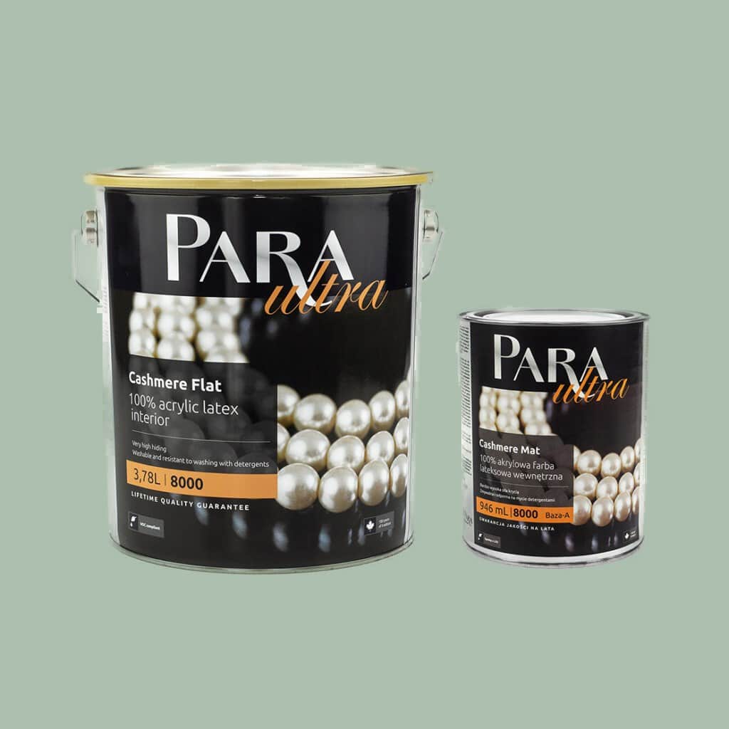 PARA Ultra 8000 GREEN BARK – Wonderwall Studio