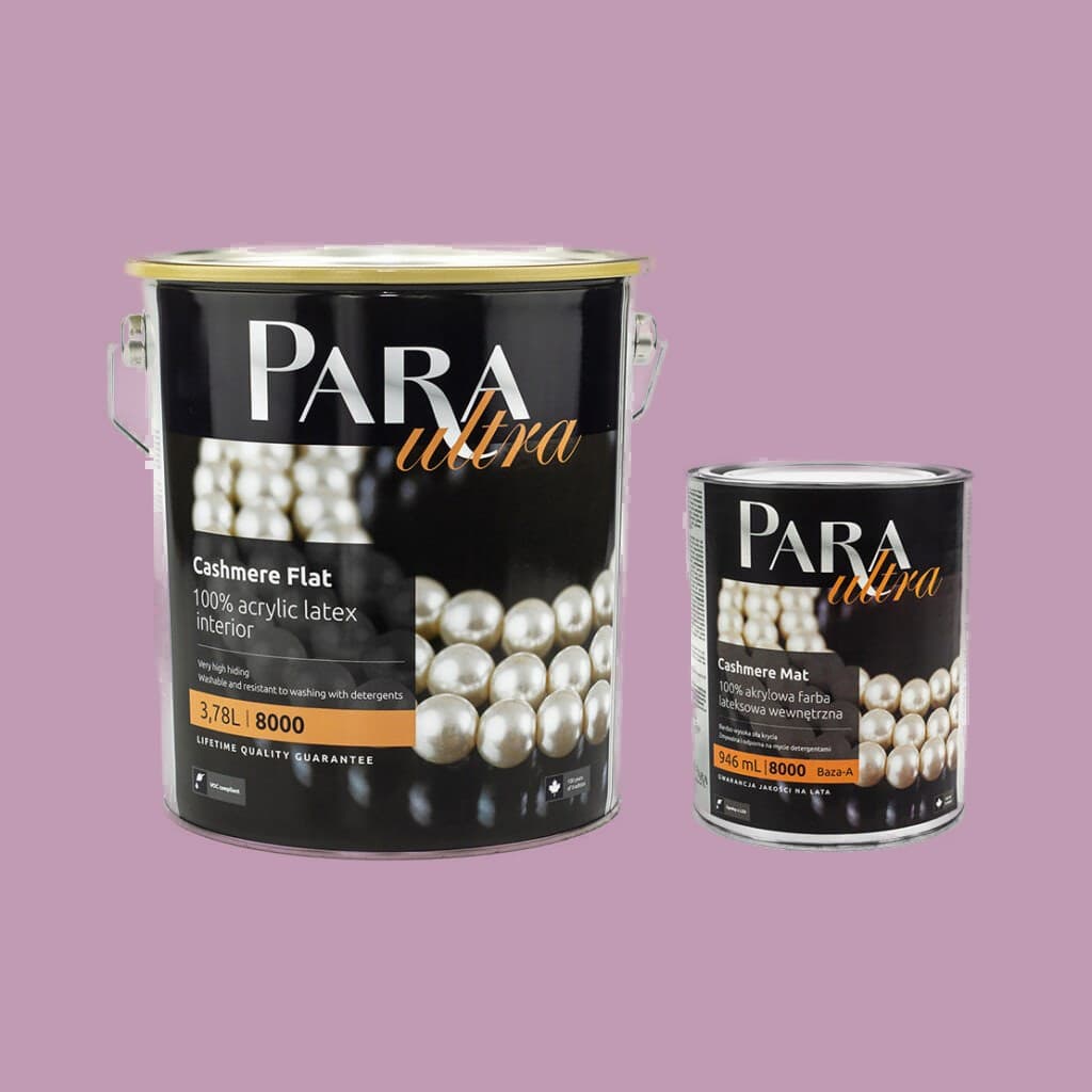 Peinture PARA Ultra 8000 WILD PLUM