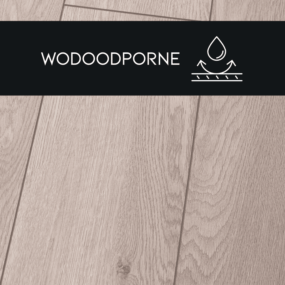 Panneau stratifié Chêne Biszkoptowy – Premium Floor