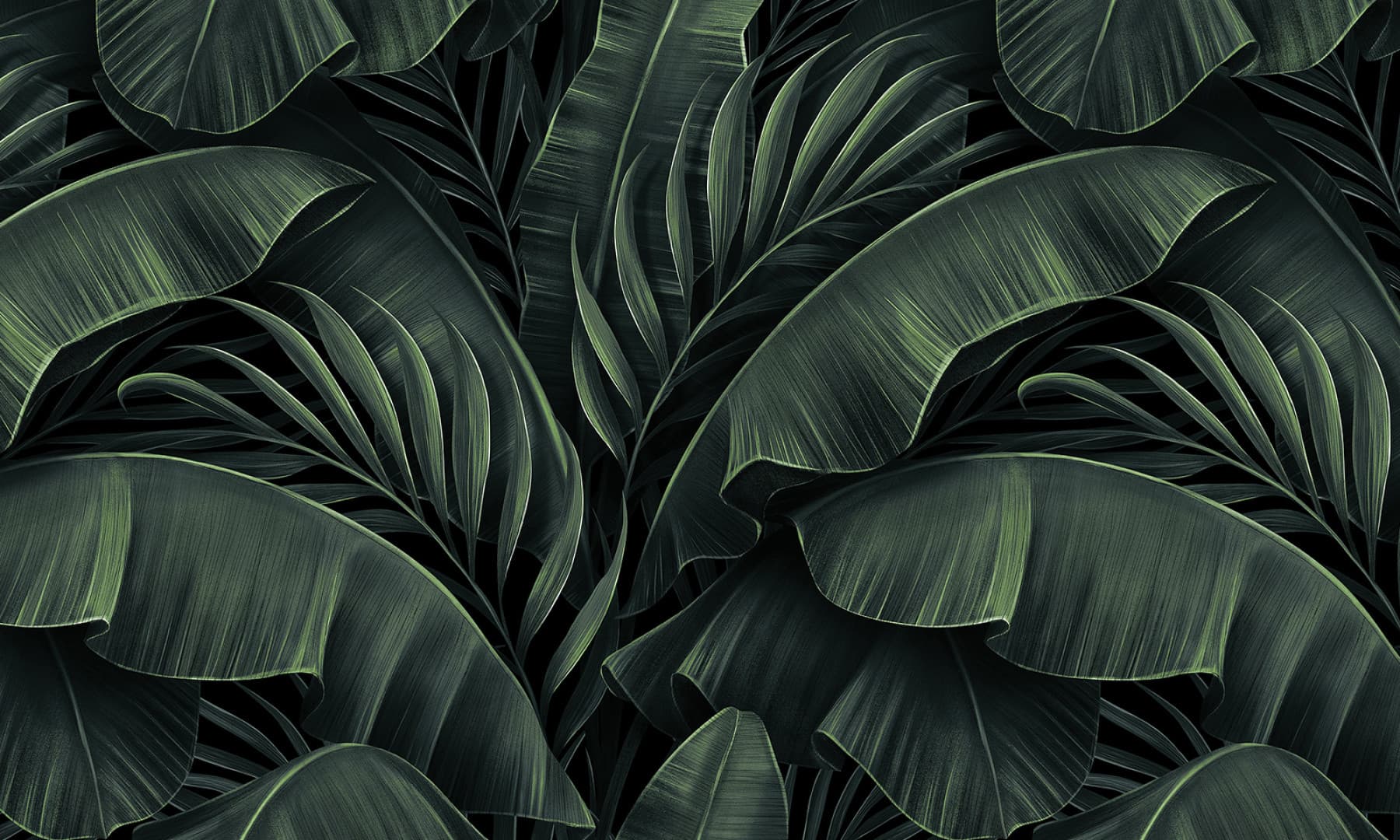 Papier peint Exotic elegance 2 – Rauv
