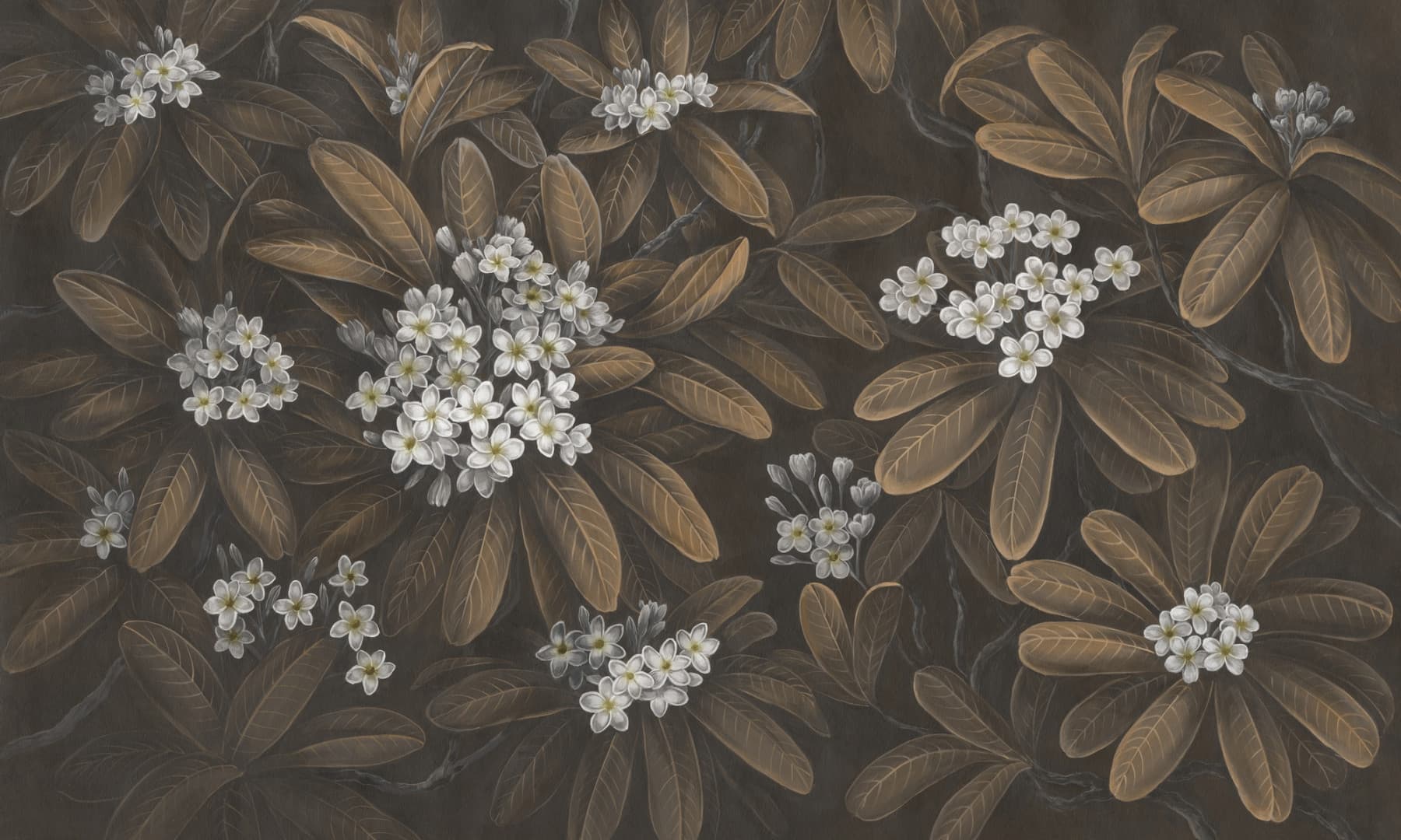 Papier peint Frangipani 3 – Rauv